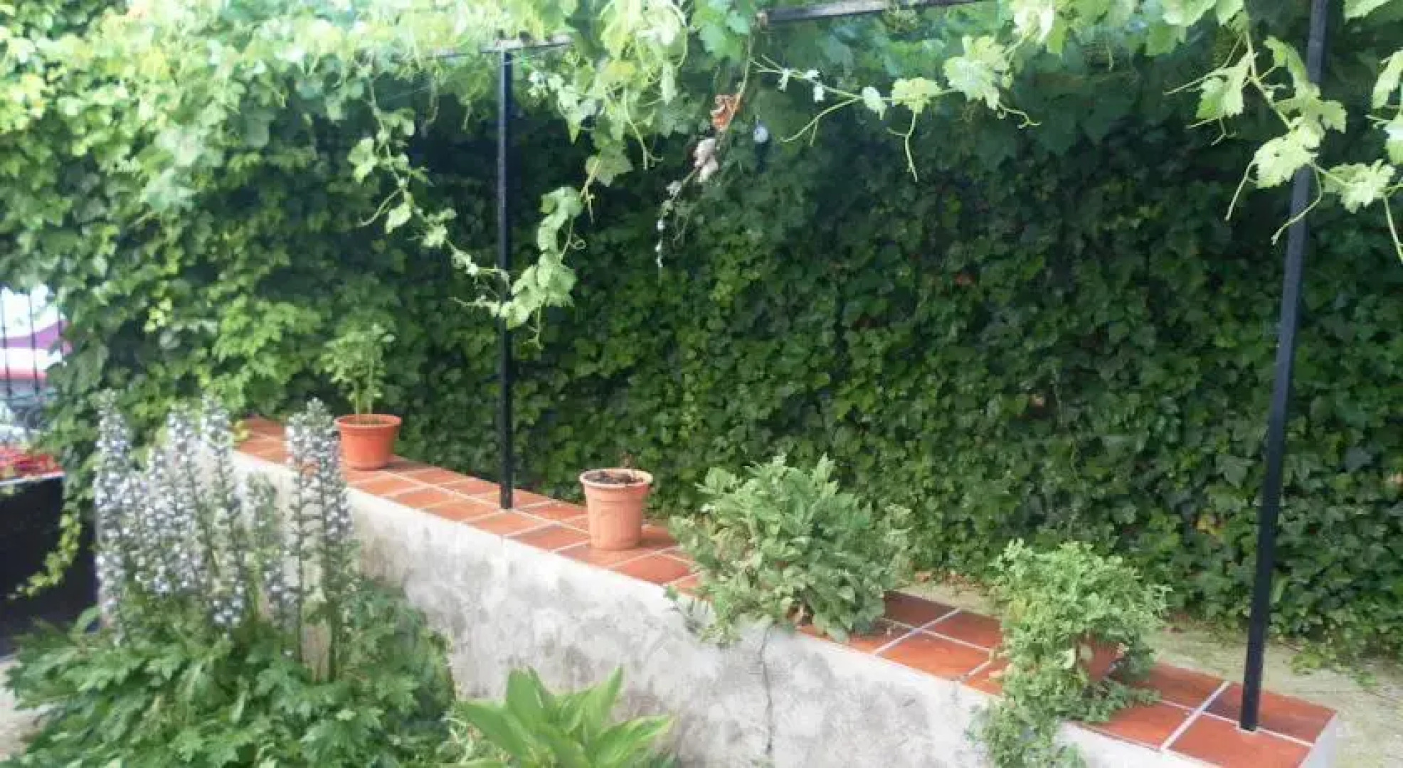 Casa Rural El Abejorro