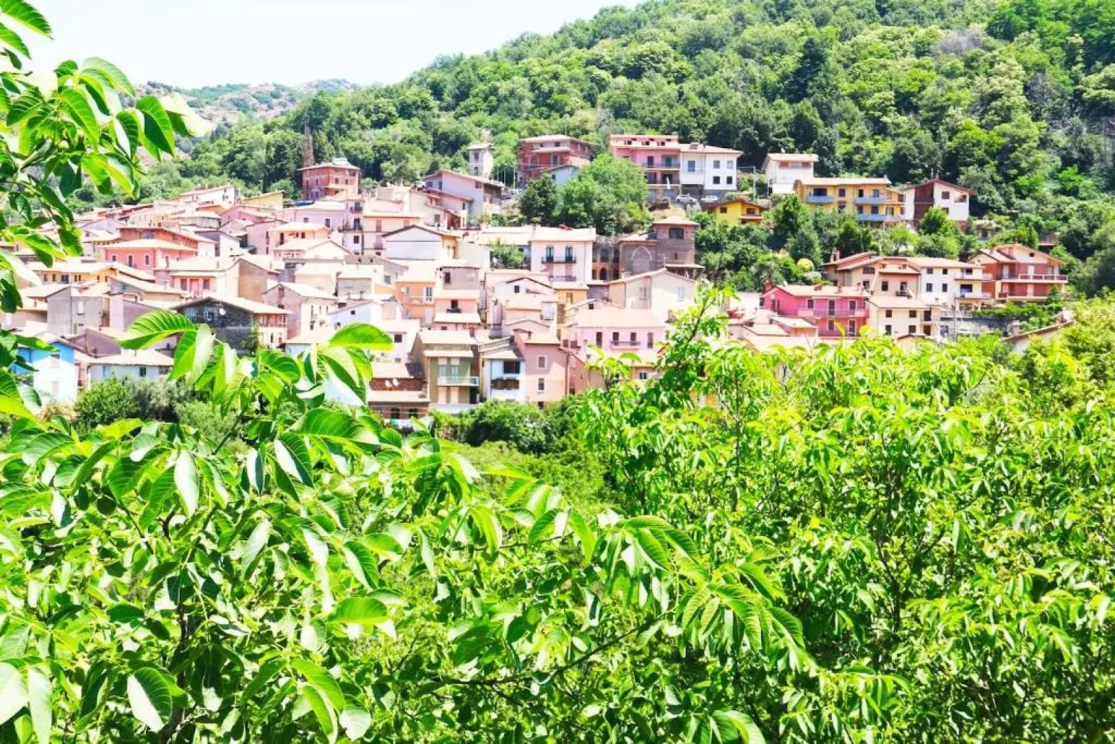 Casa Vacanze il Giardino - Appartamento Agrifoglio