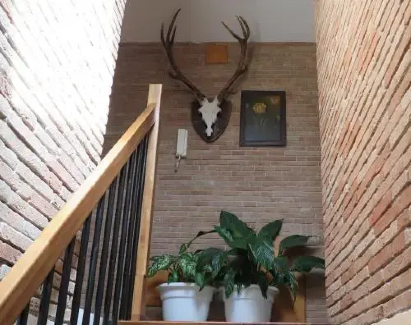 Affittacamere Prato Rosso