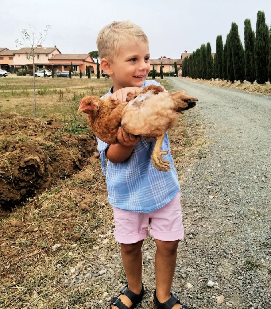 Appartamento Palazzeta With Pool, Near the Sea