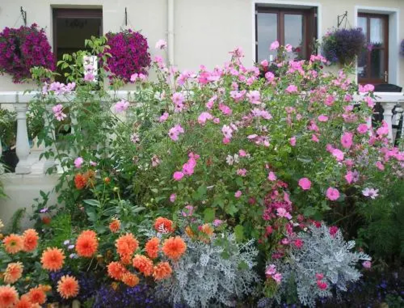 La Buzardière, Chambres d'hôtes