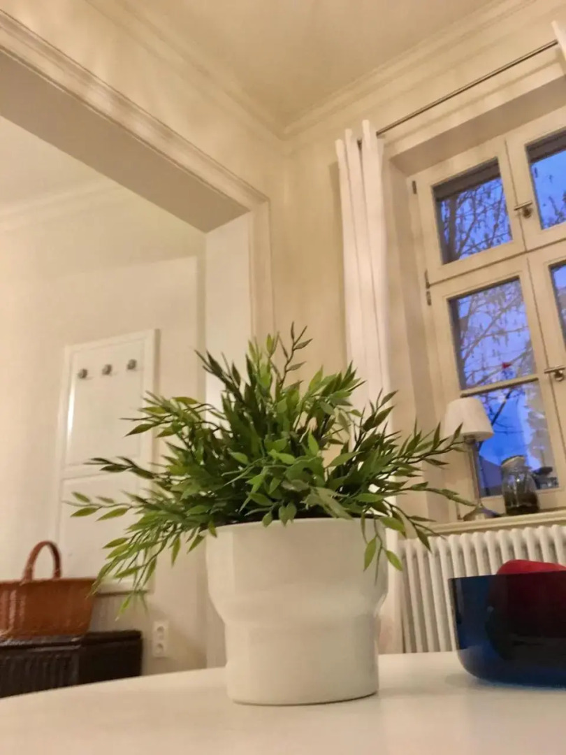 JETHON Studio-Appartement im Grünen