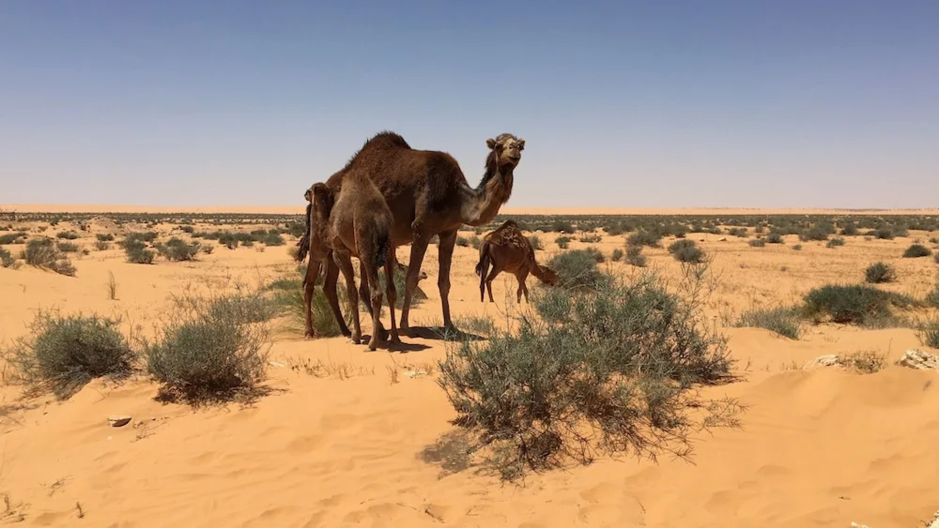 Résidence La Source