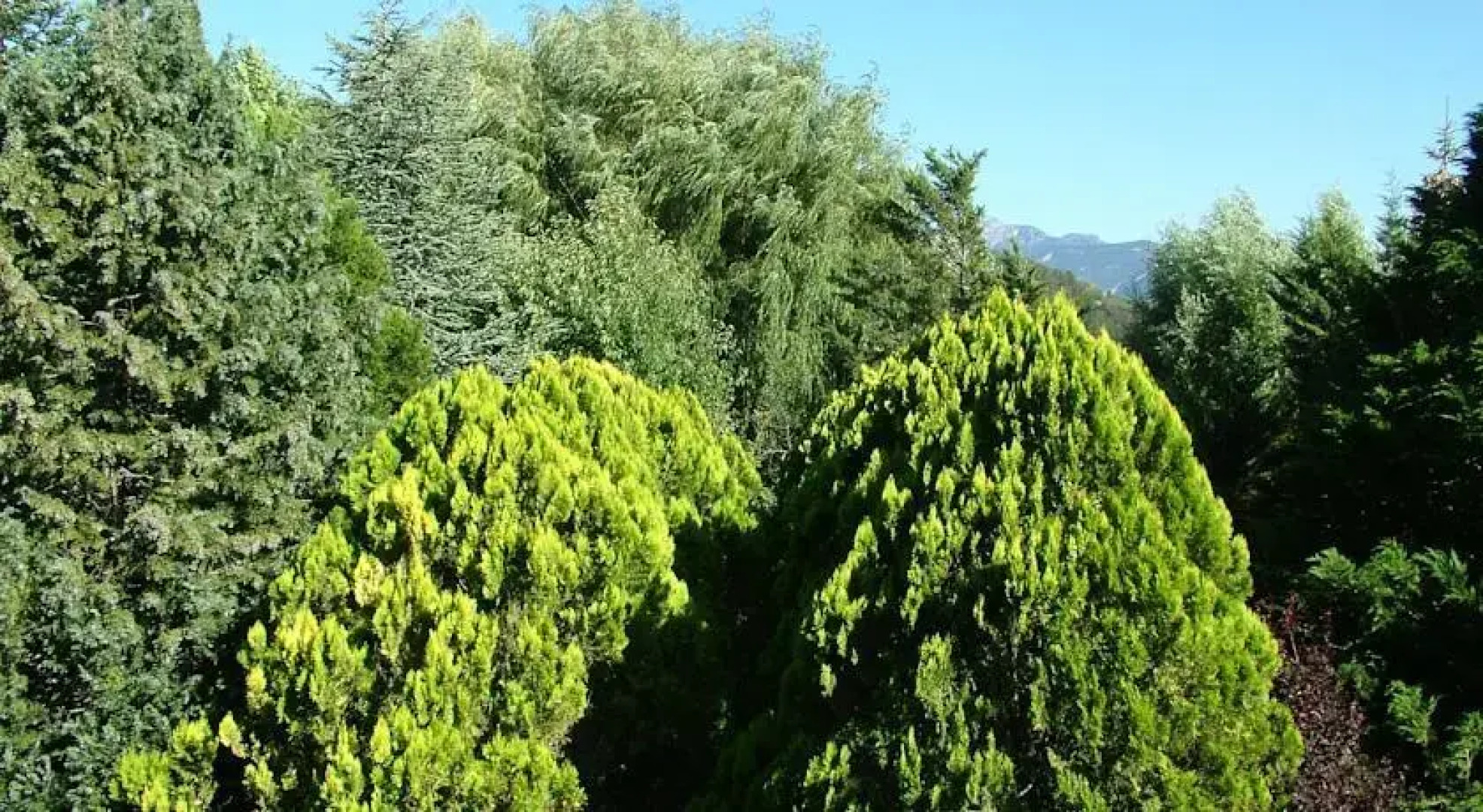 Relais de saint Géraud