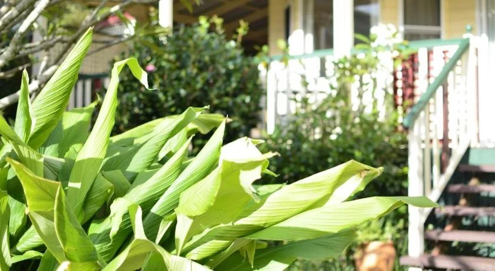 Rosevillehouse Bed & Breakfast