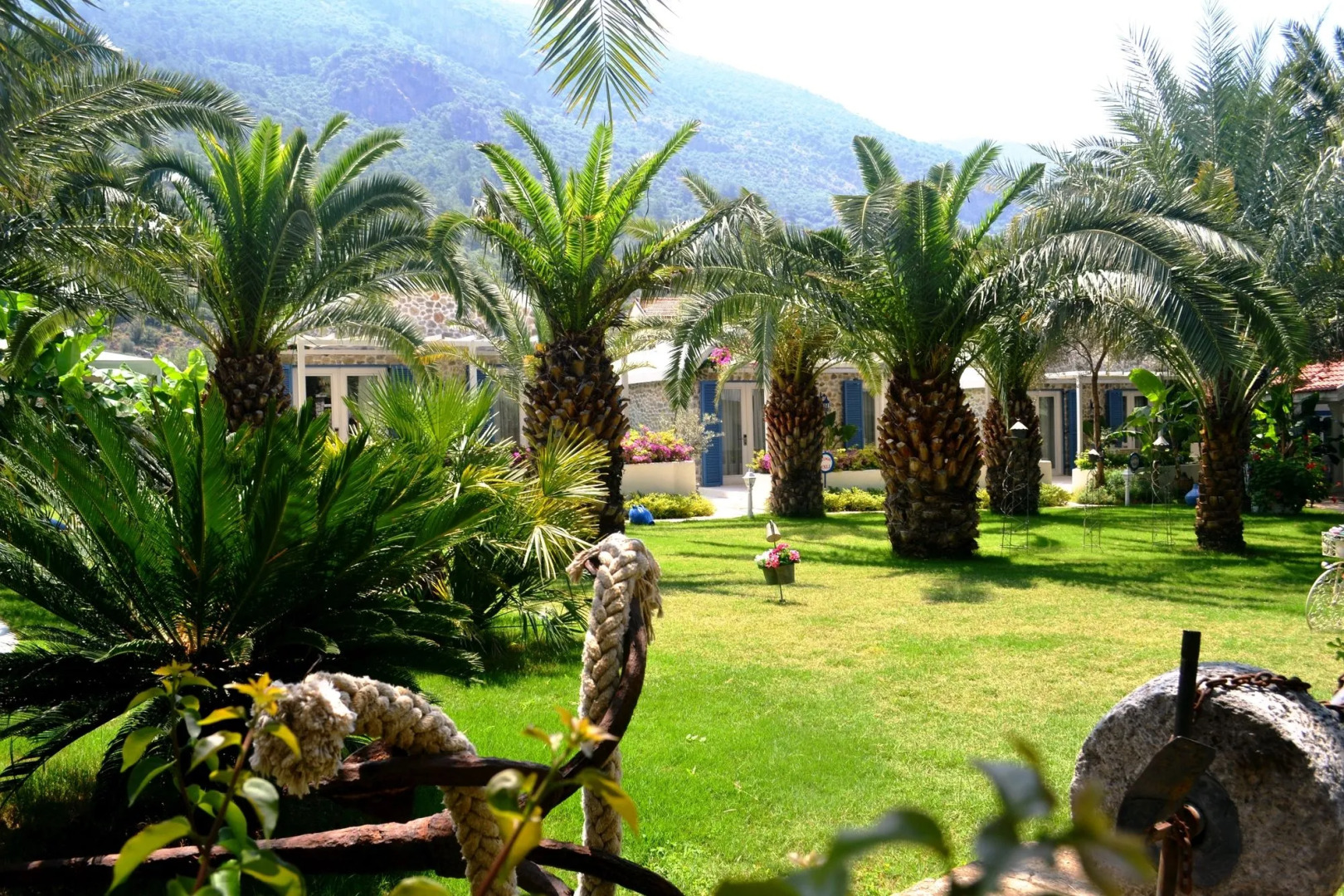 Flamingo Hotel & Spa - Pet Friendly