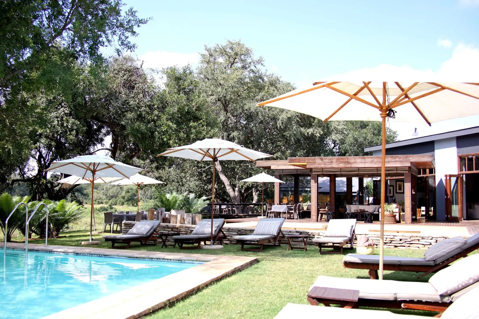 Karongwe - Becks Safari Lodge