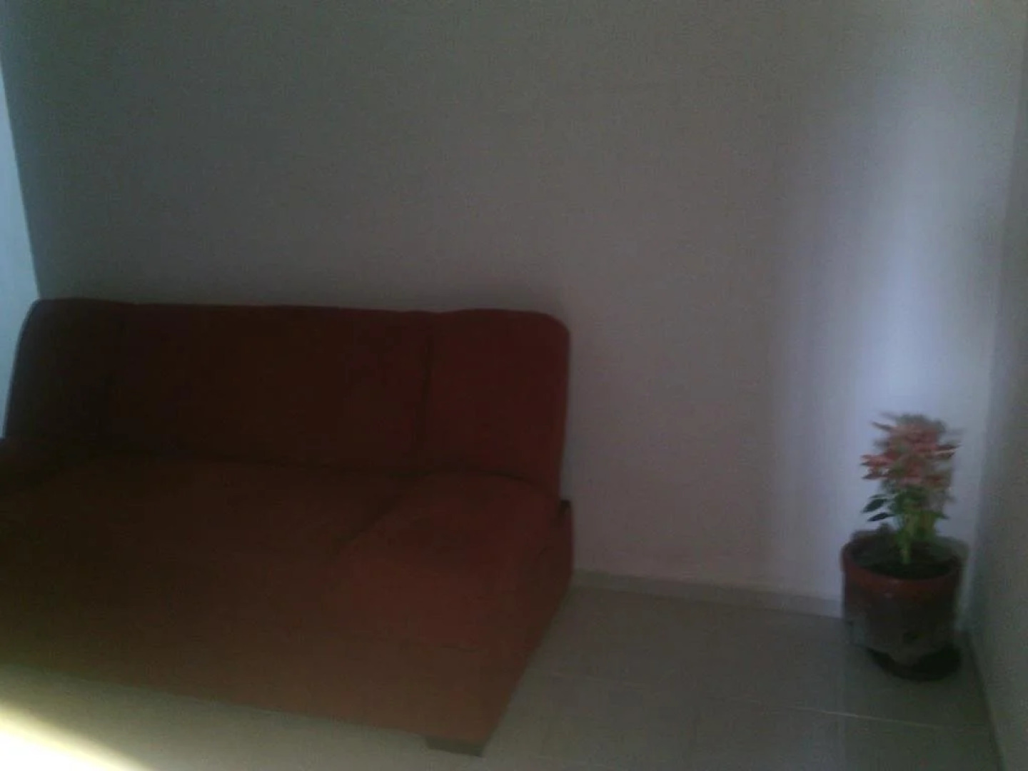 Maya Luum el Paraiso