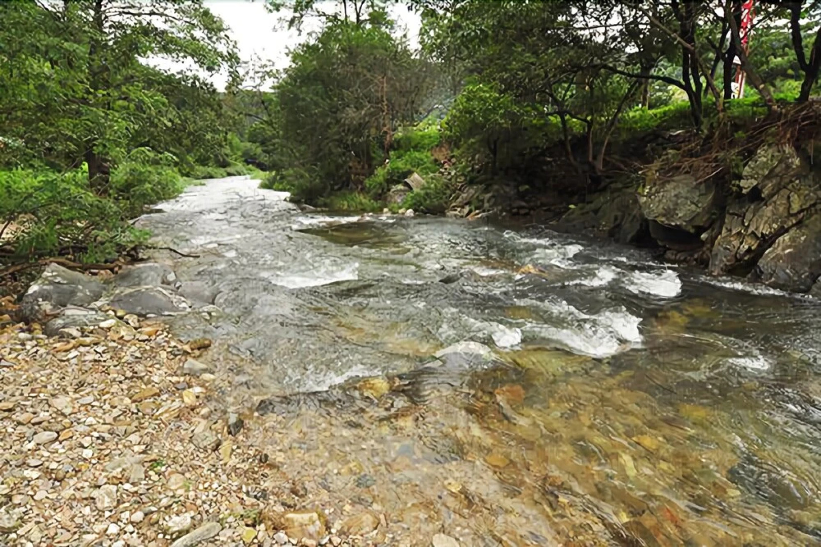 Yangpyeong Natural Rest Pension
