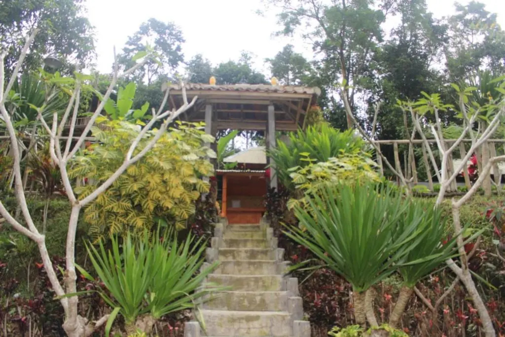 Bali Tree House Pelangi