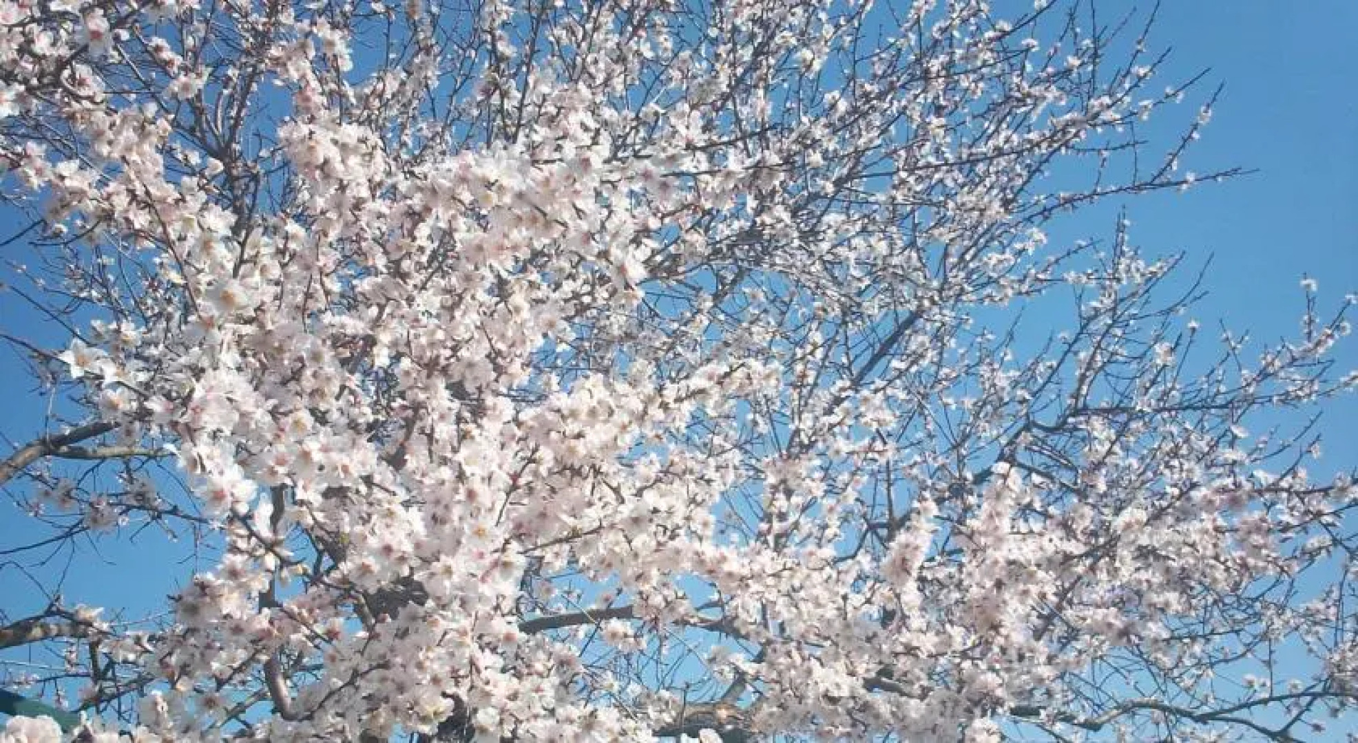 Giramondo Casa Vacanza