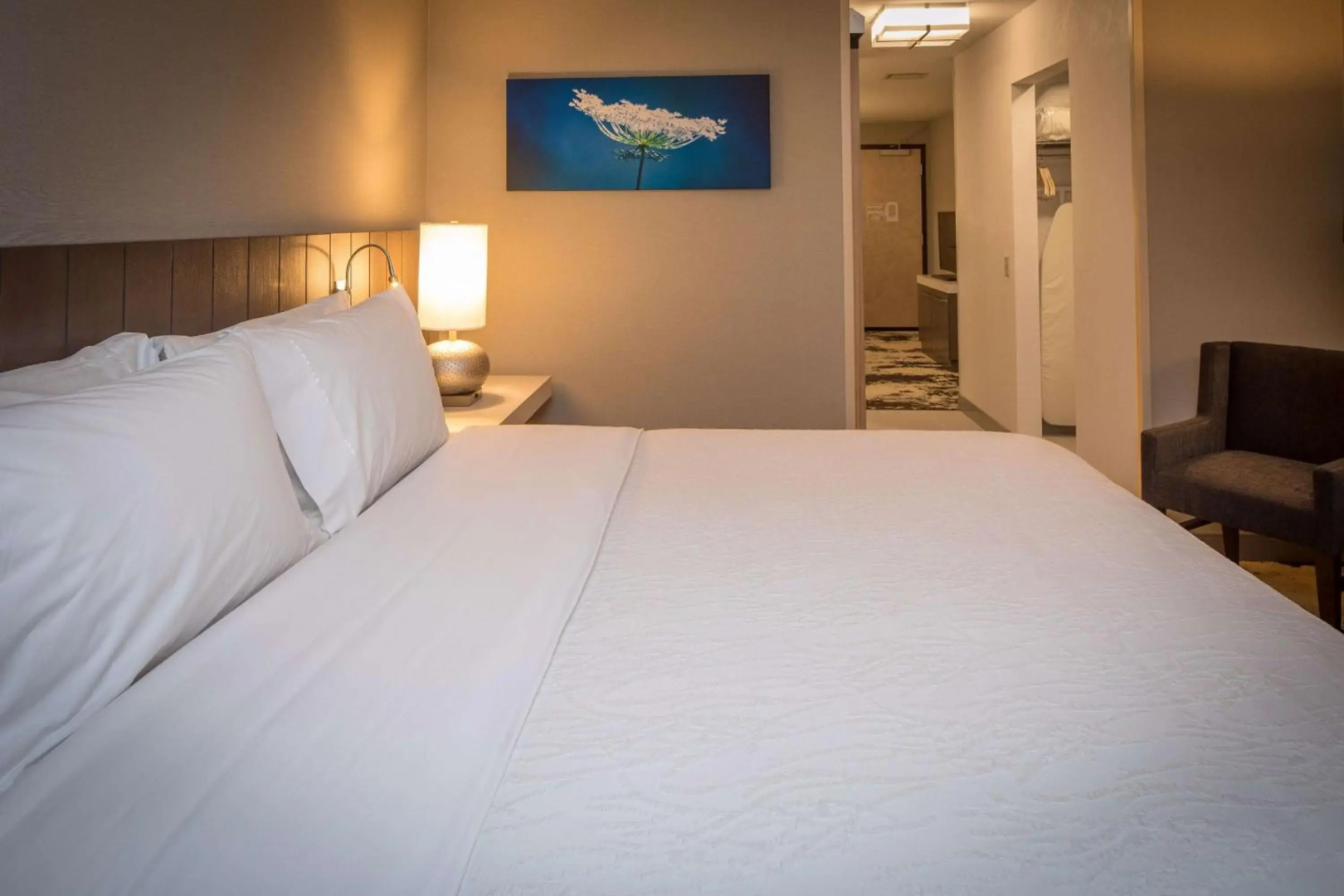 Holiday Inn Express Hotel & Suites Spartanburg-North by IHG