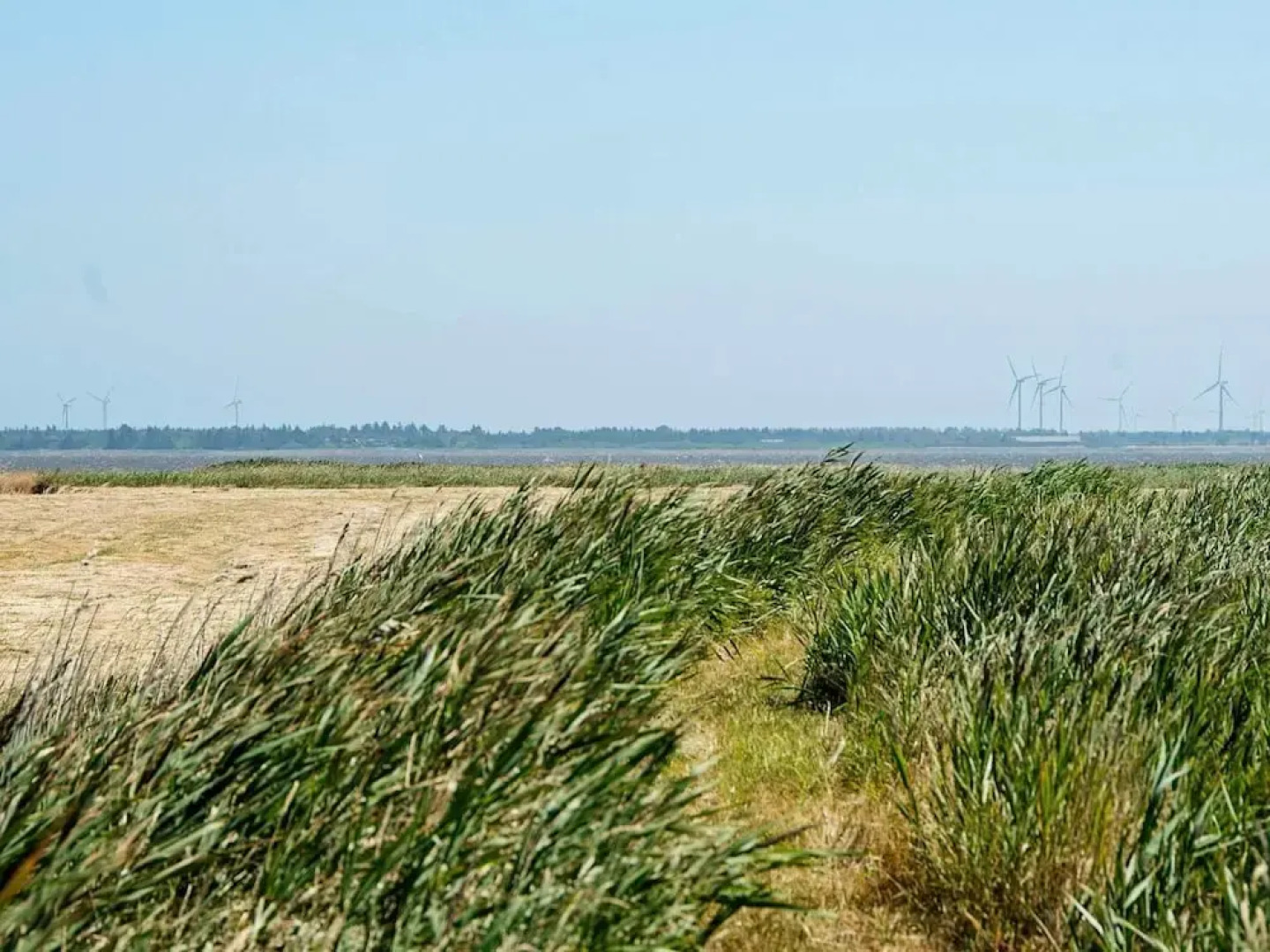 8 Person Holiday Home in Ulfborg