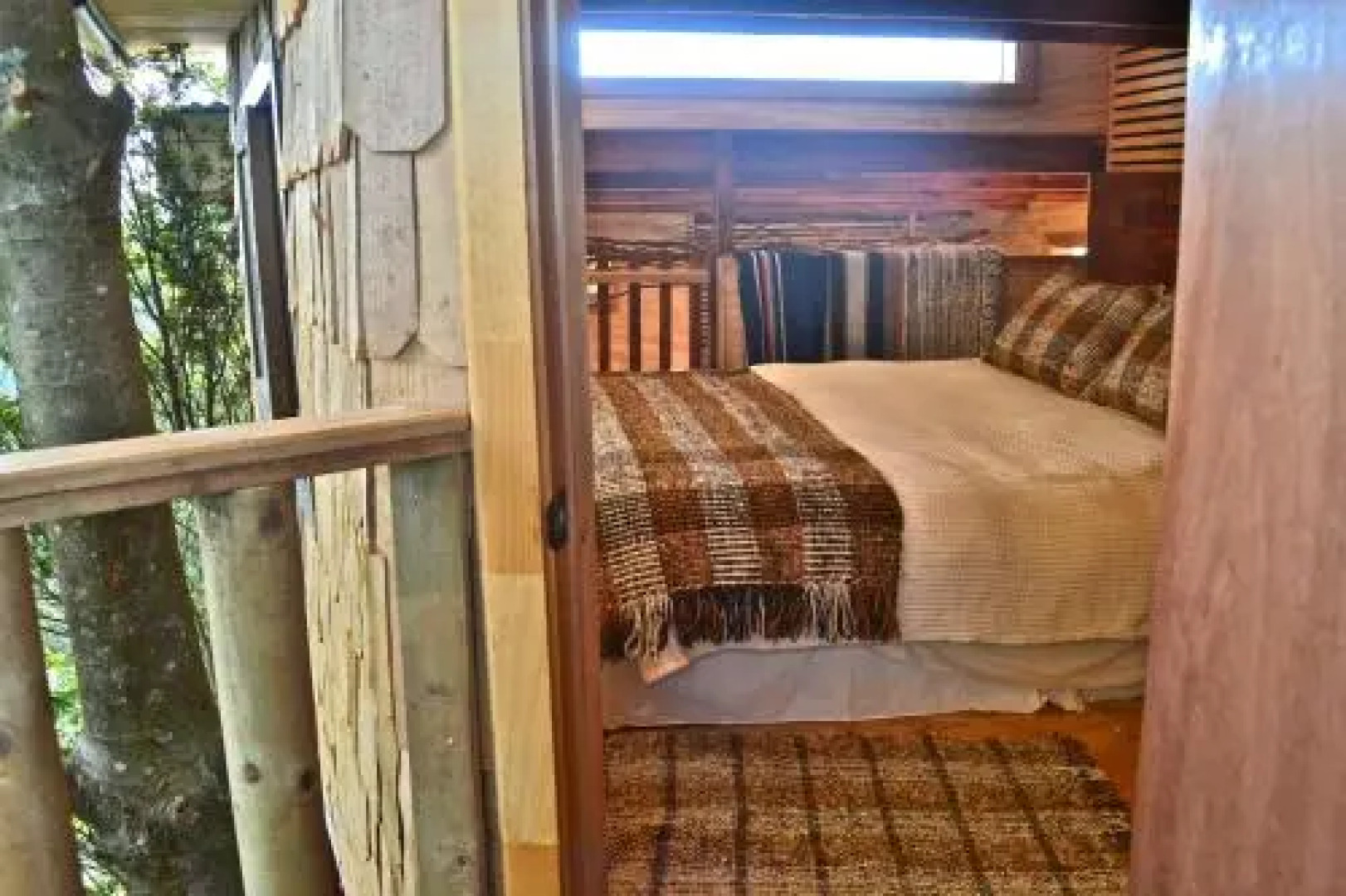 La Casa Del Árbol De Chiloé