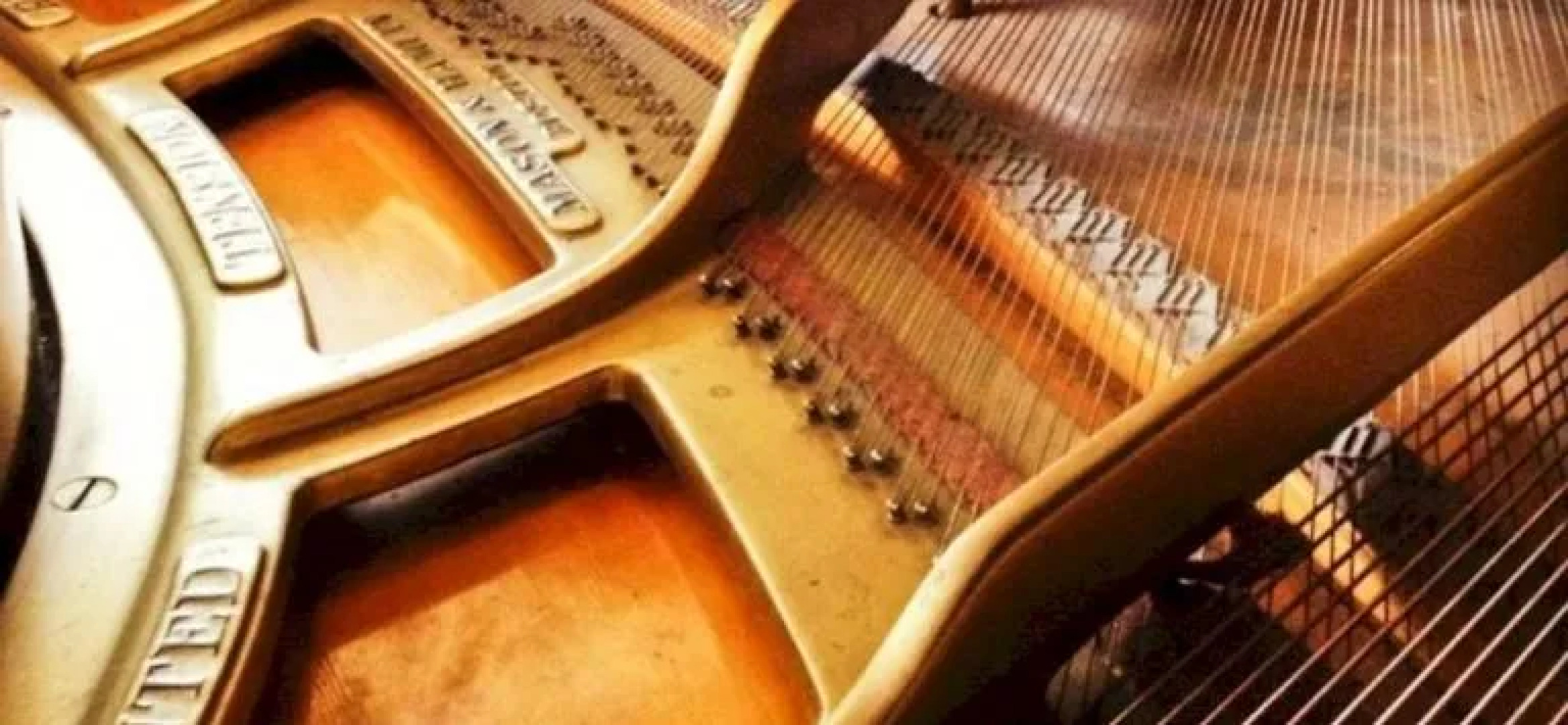 Los Tulipanes Hotel Boutique