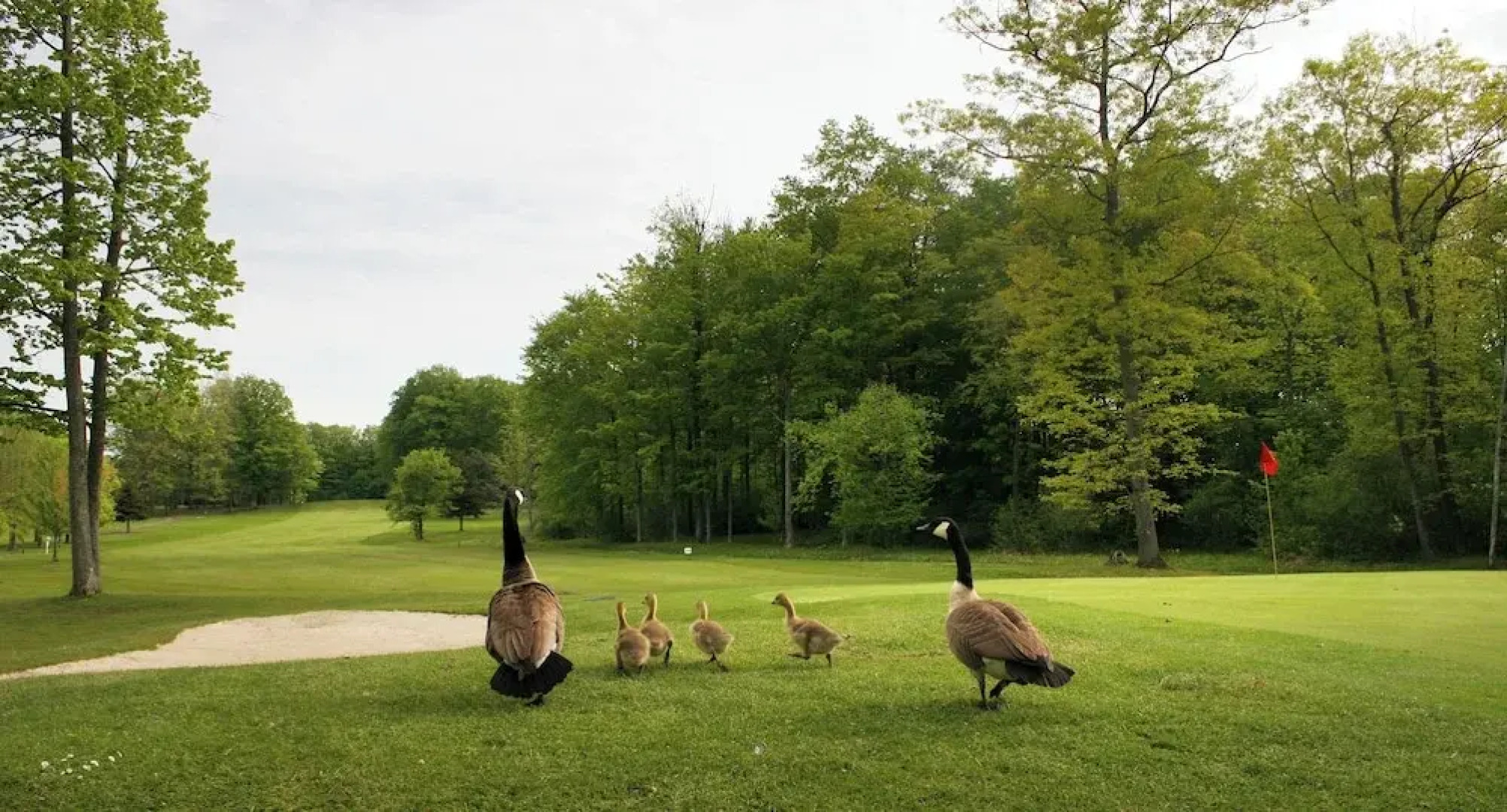 The Spencer Hotel & Spa