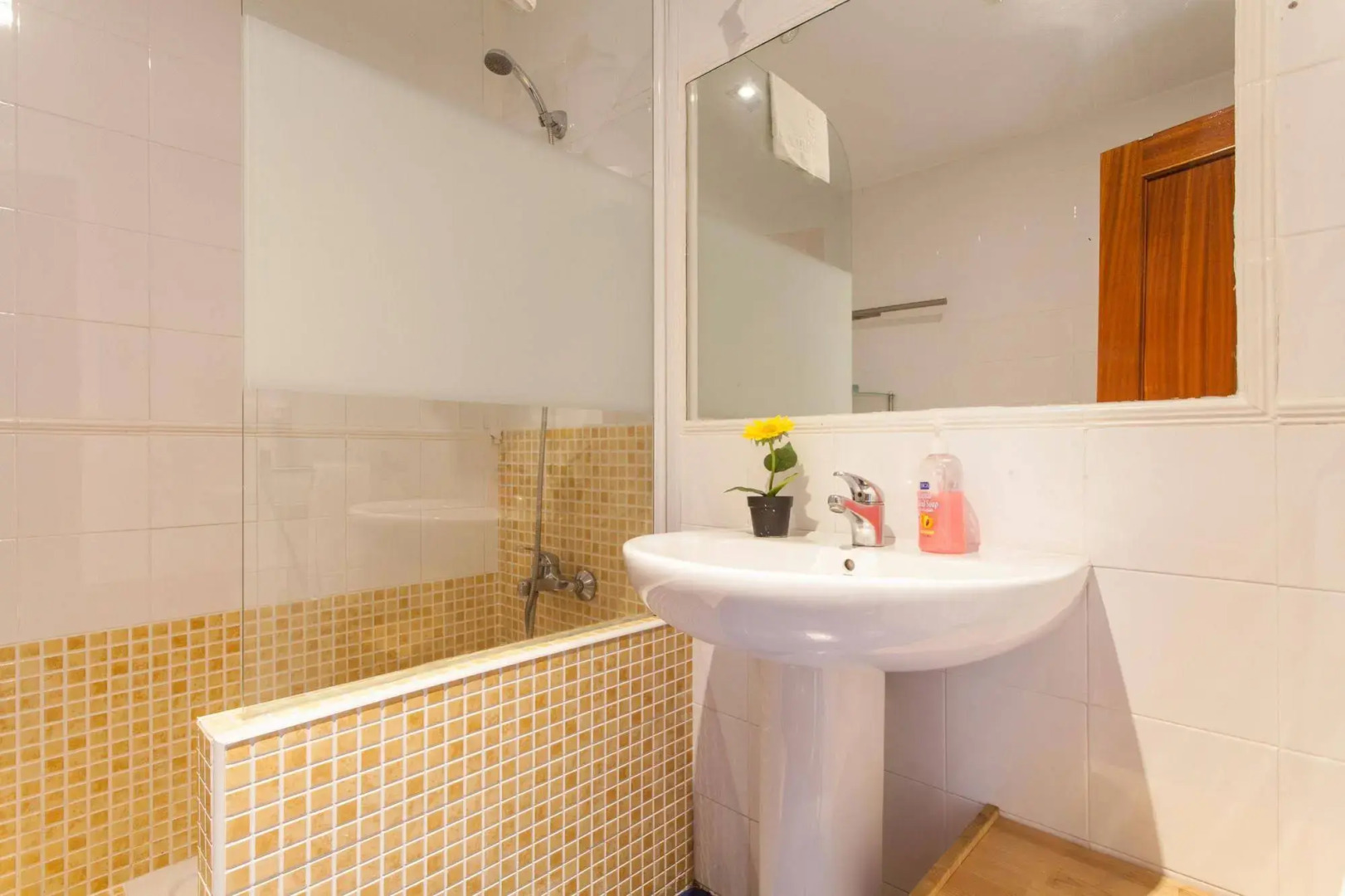 San Marcos Apartamentos