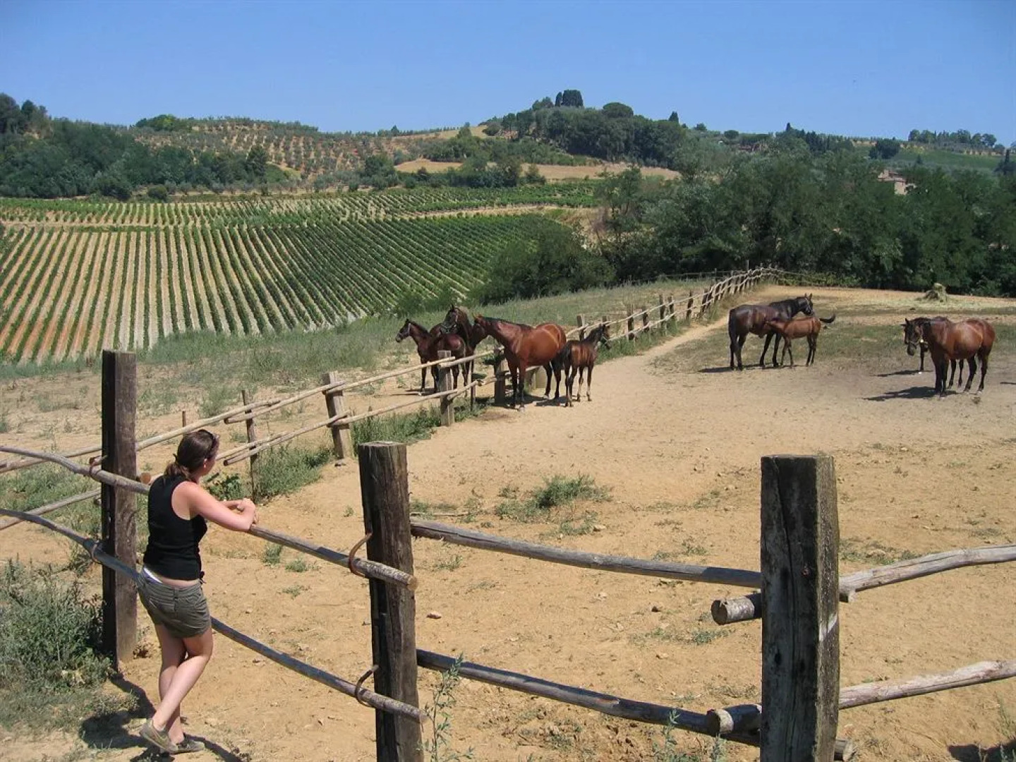 Agriturismo La Moraia