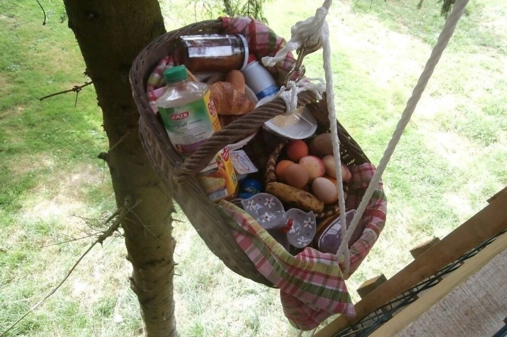 Cabane dans les Arbres - Tree House