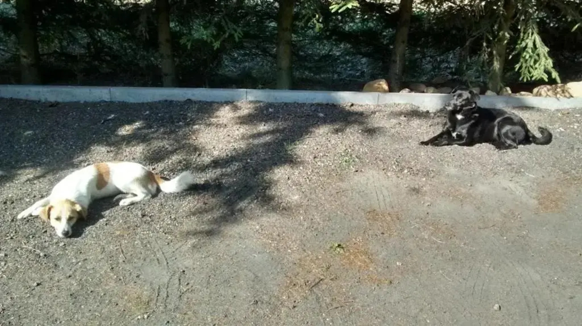 Agroturystyka Pod Swierkami