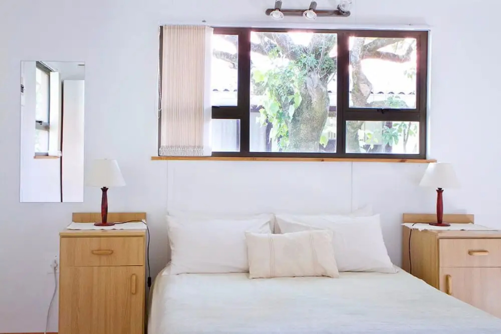 Franskraal Collection