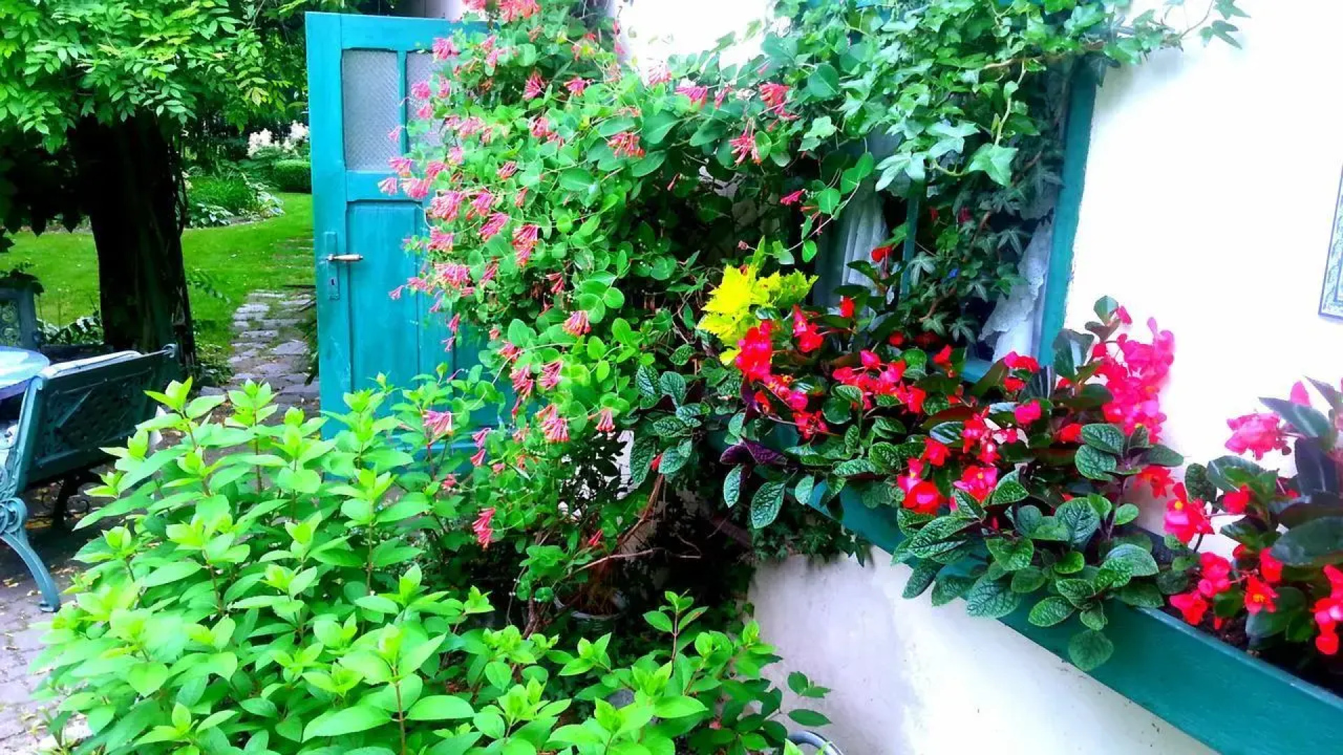 Słoneczne apartamenty