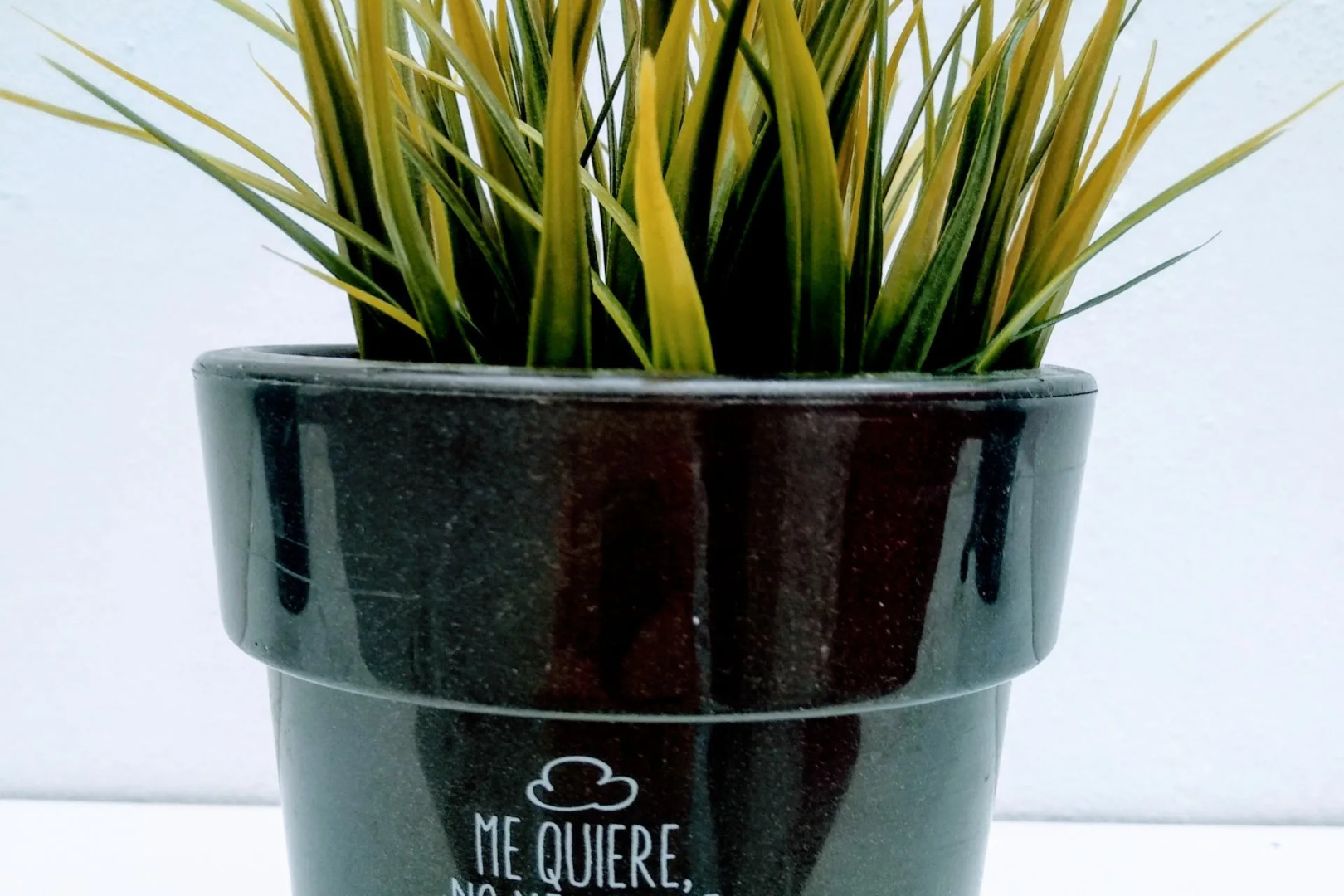 Family Suite  Lagar De Sevilla