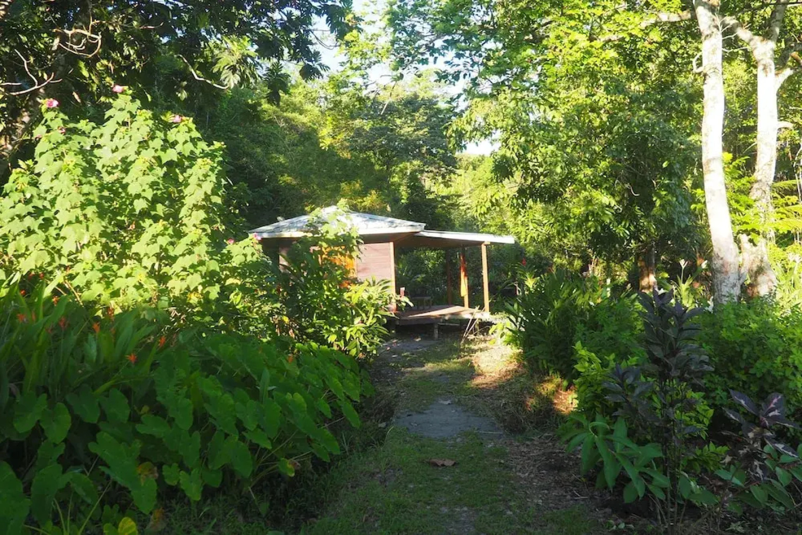 ataraxia bocas del toro