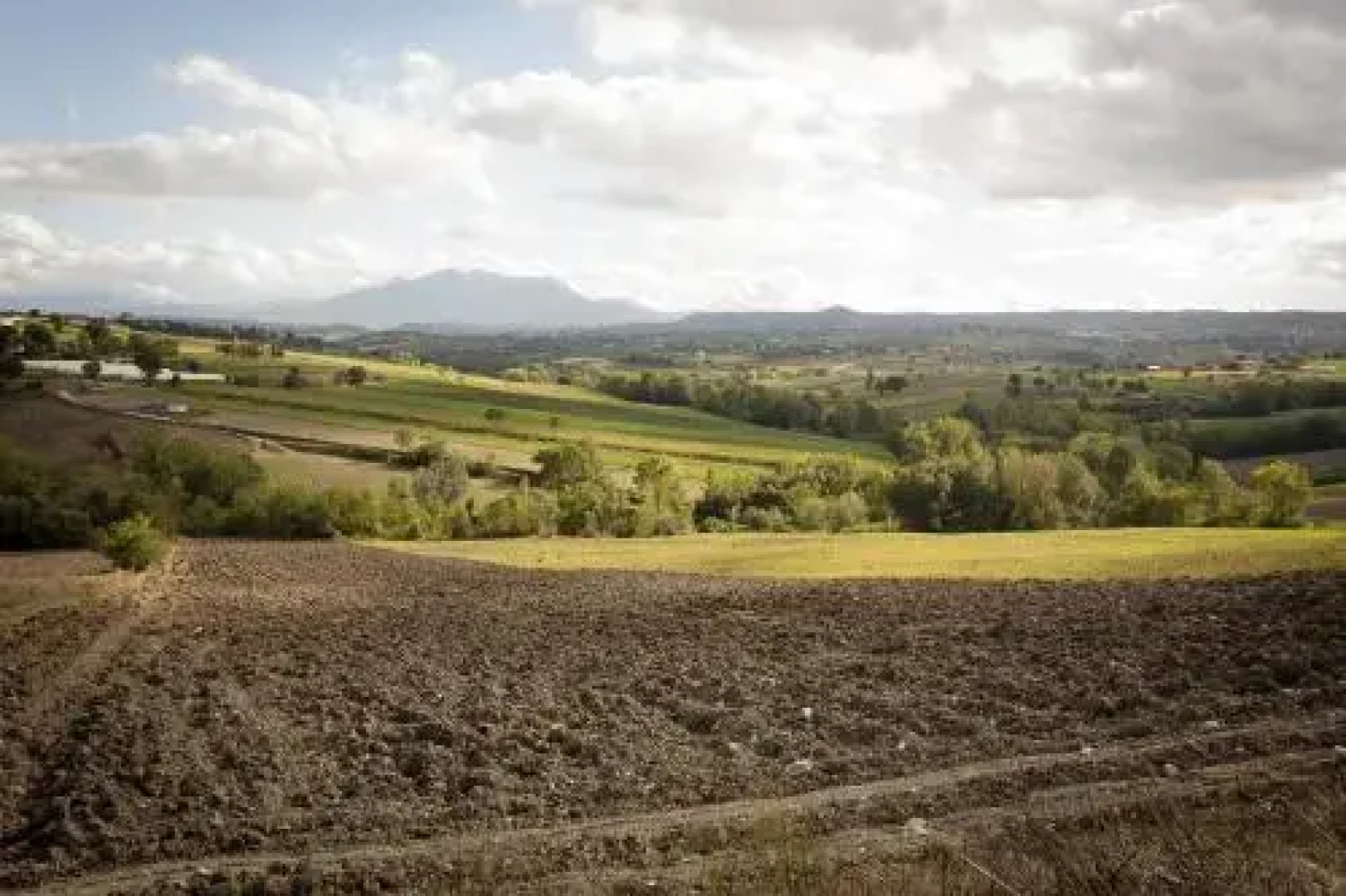 Agriturismo Villa Luisa