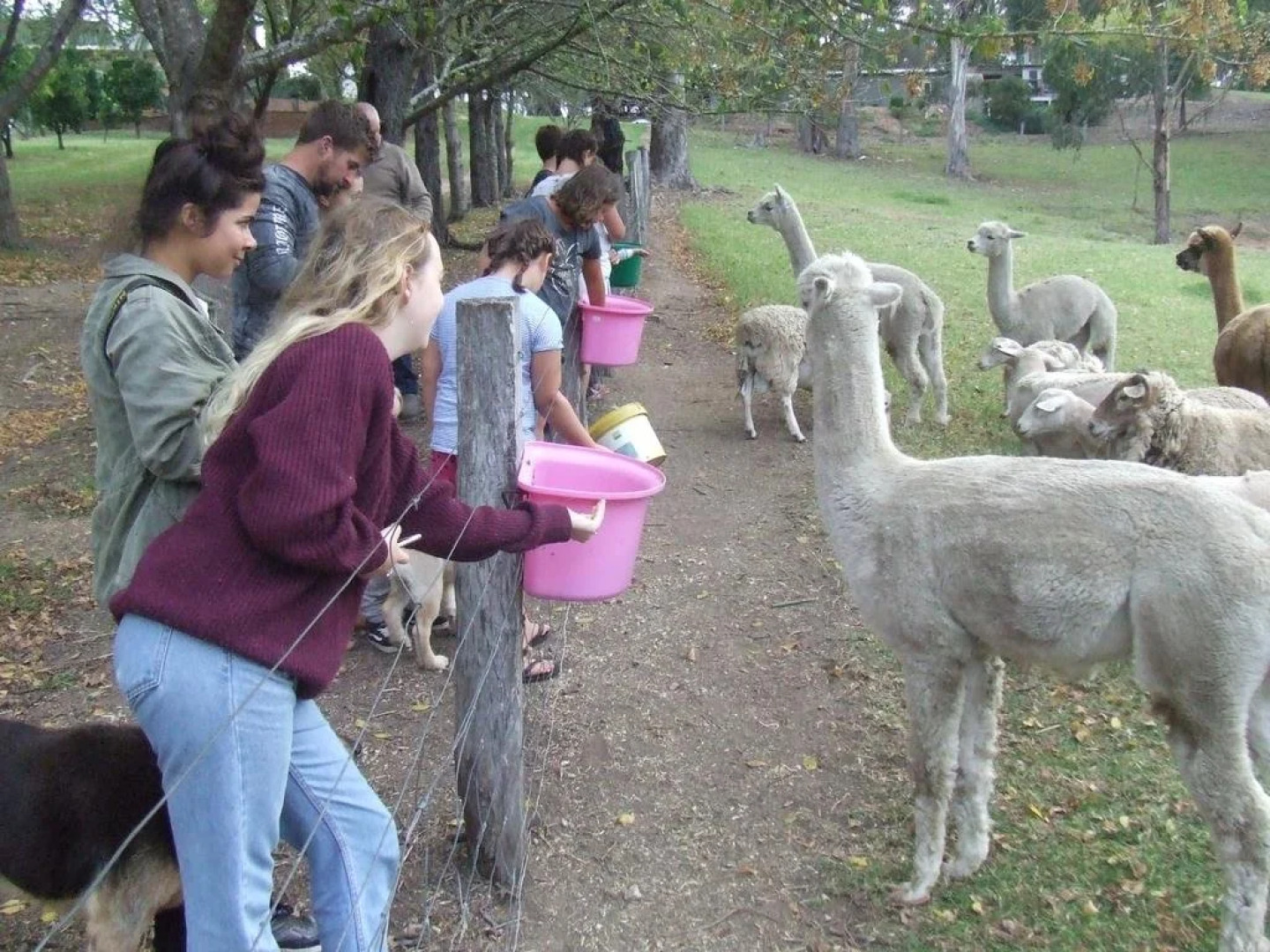 Kiah Country Gardens B&B