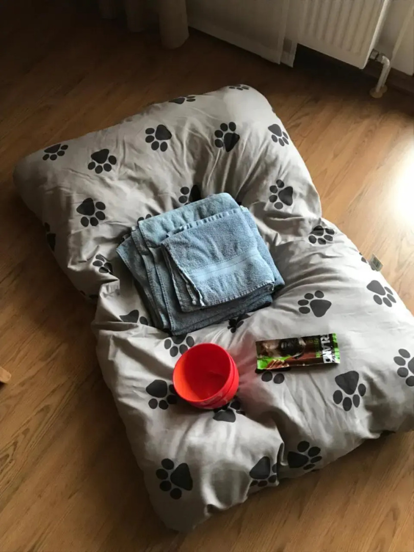 Ferienwohnung Poczewski