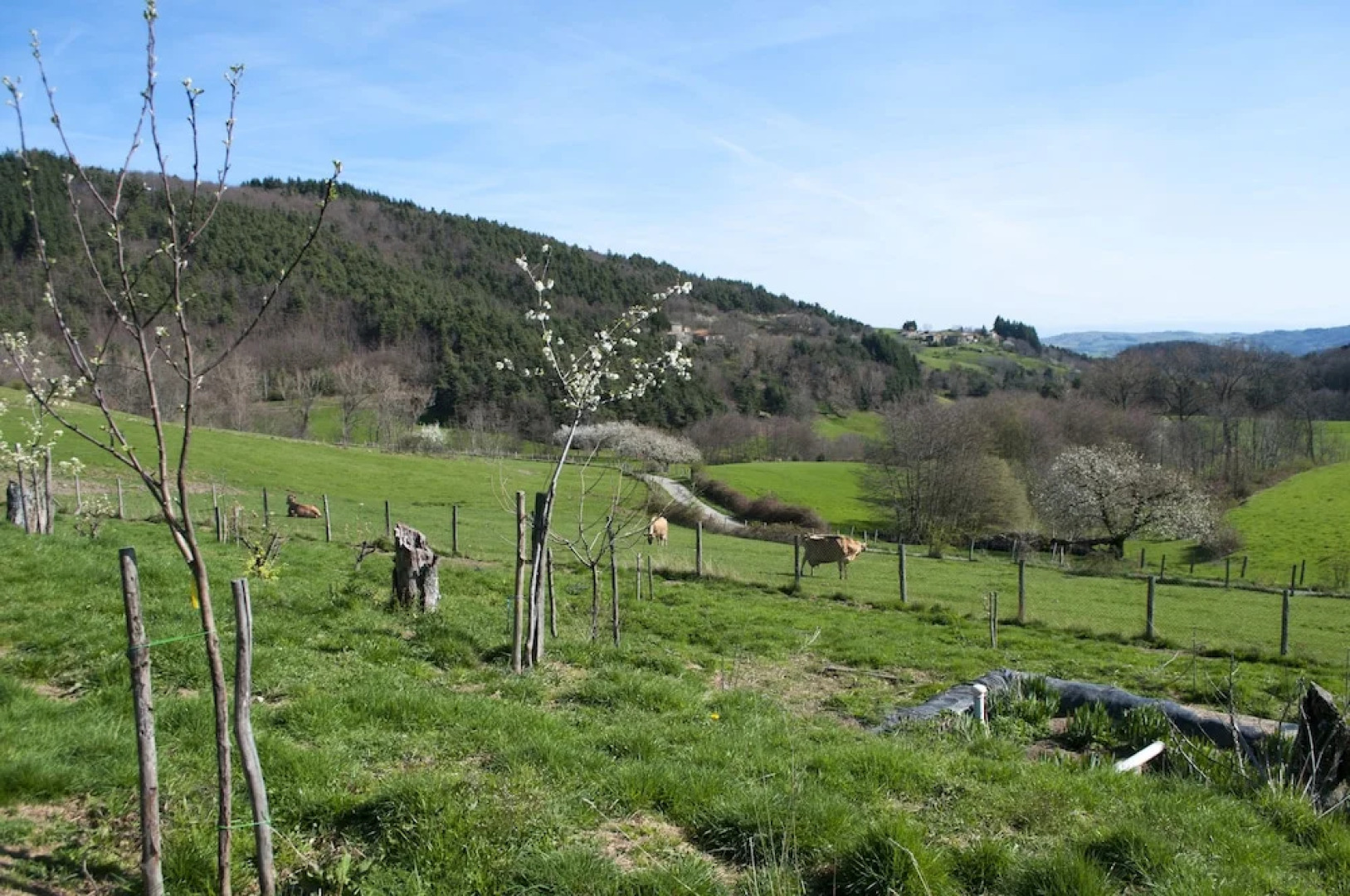 Domaine le Trouillet