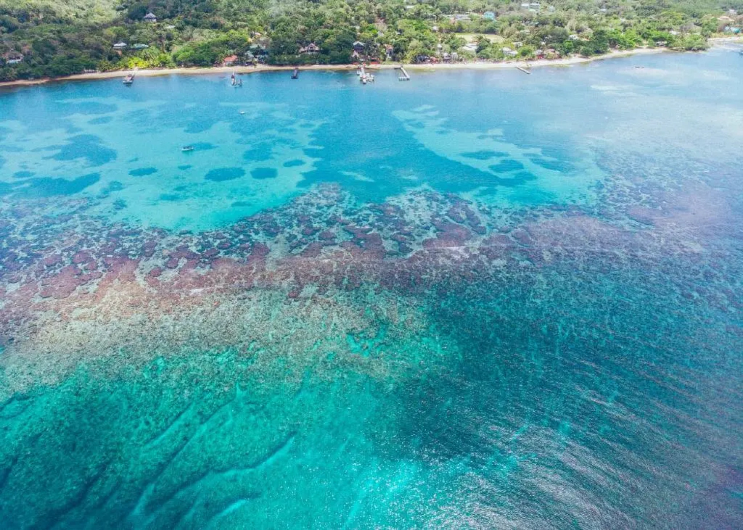 Tranquilseas Eco Lodge & Dive Center