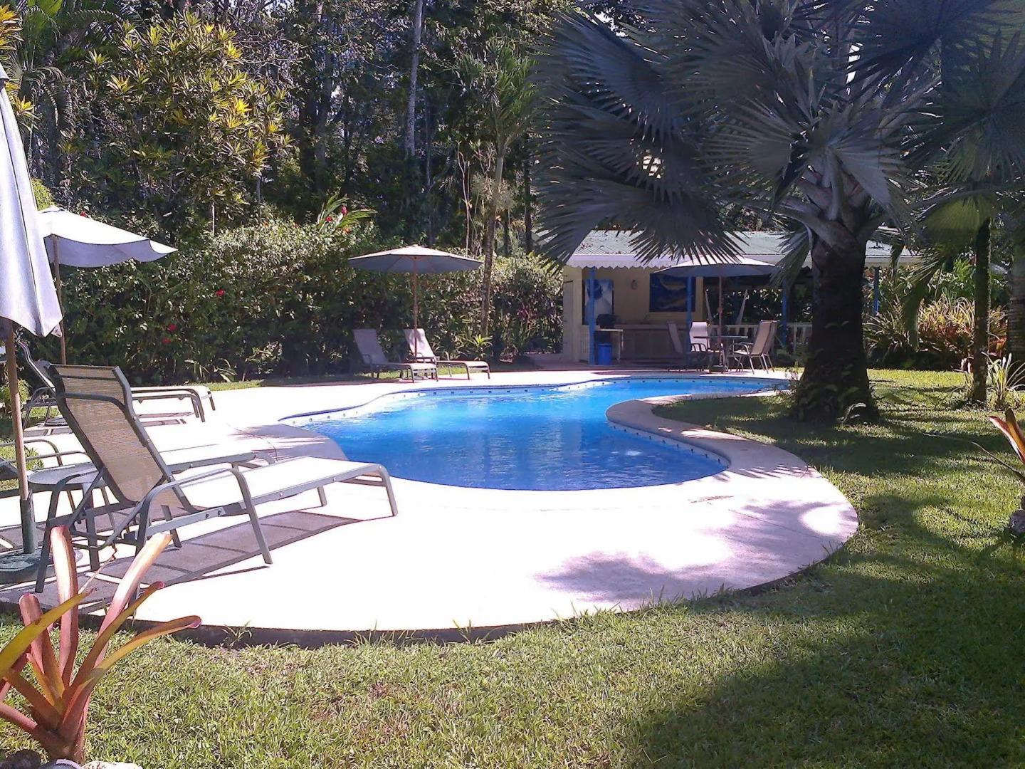 Playa Negra Guesthouse