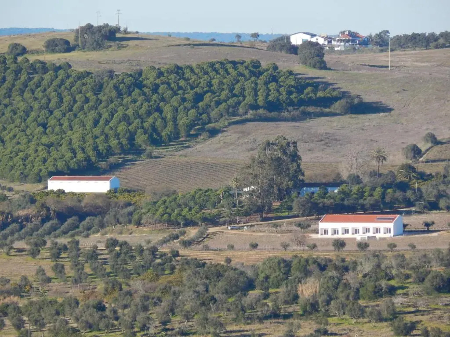Quinta das Ratoeiras