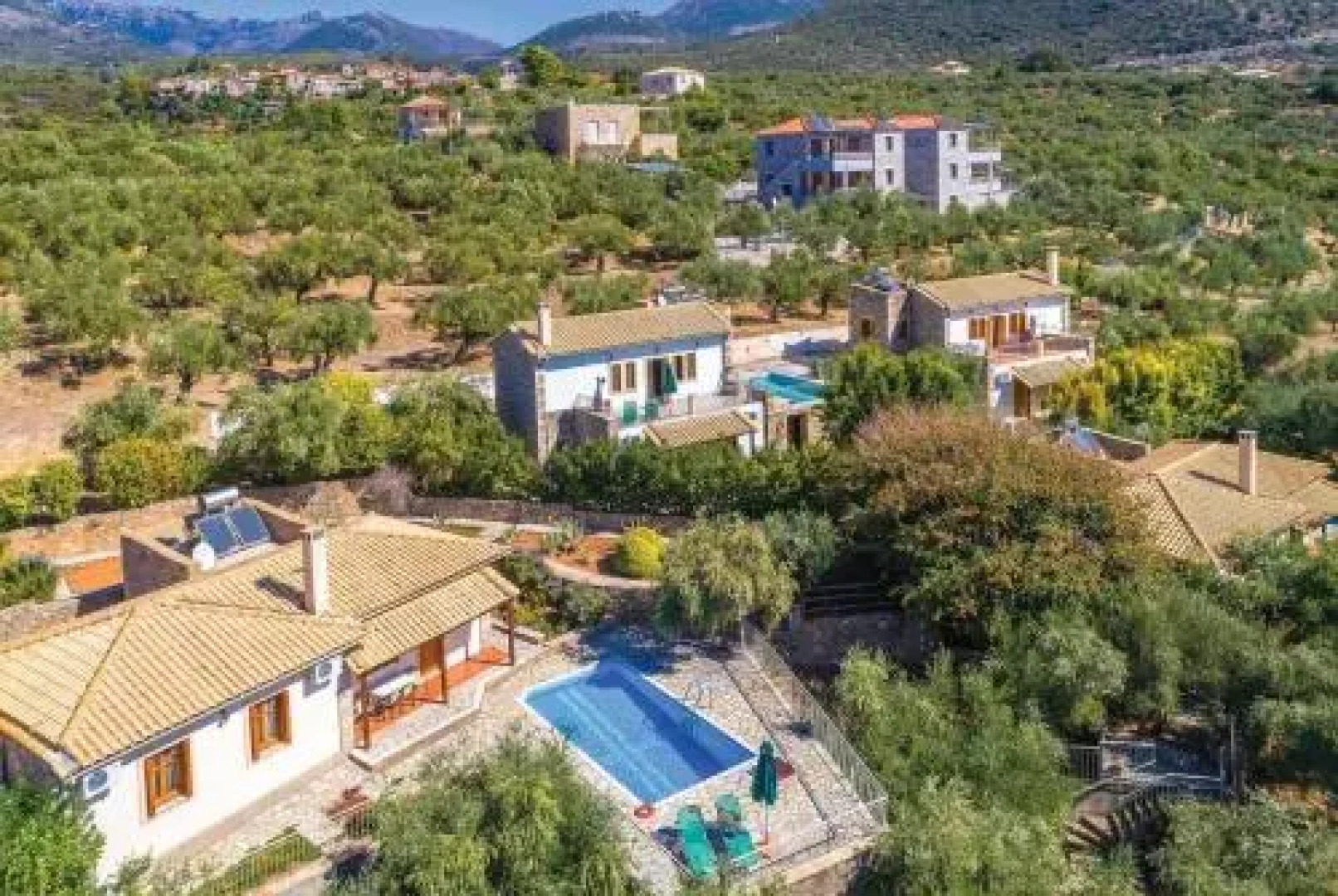 Daphne Aghios Nikolaos Peloponnese