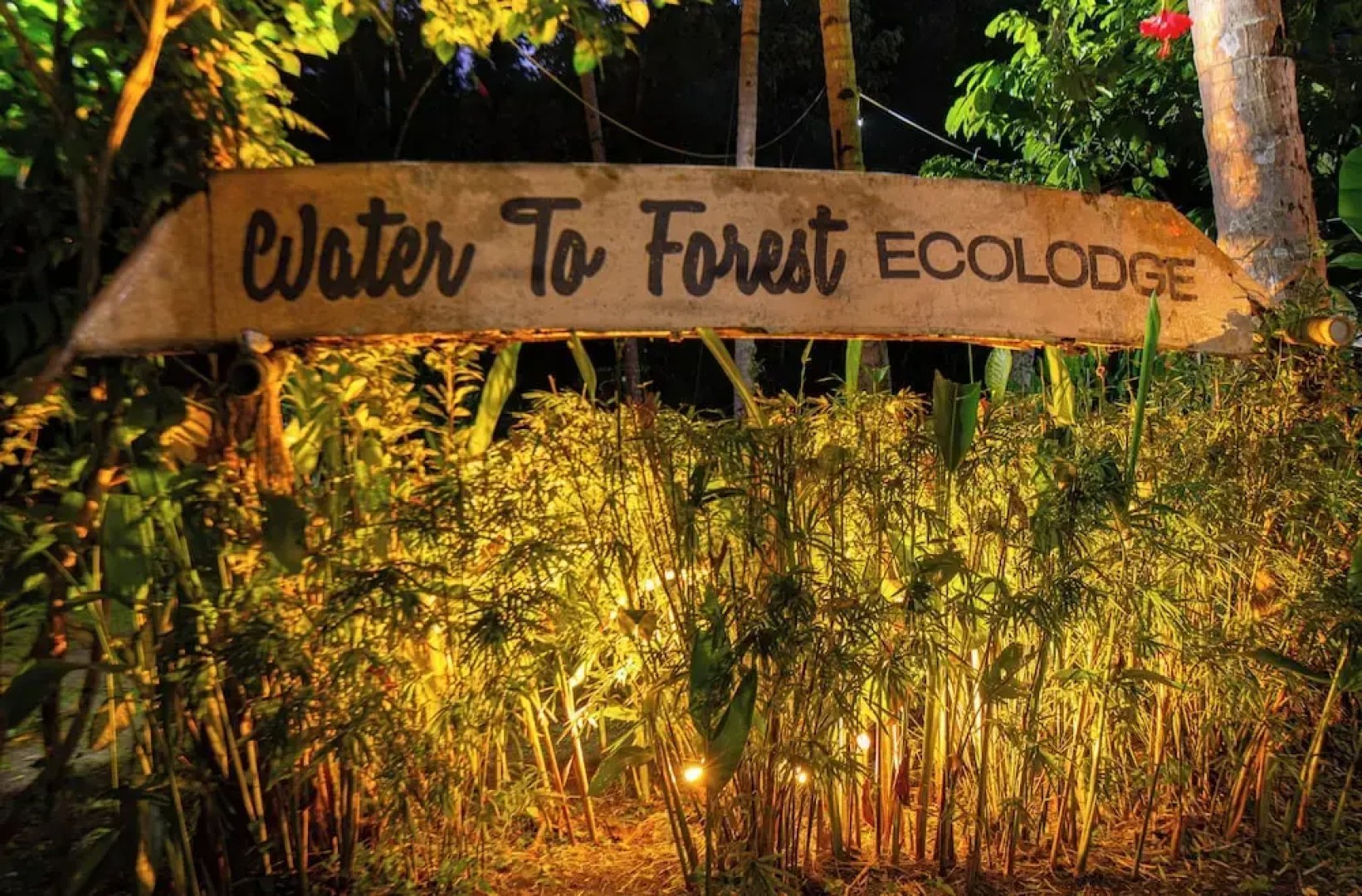 Water To Forest Ecolodge