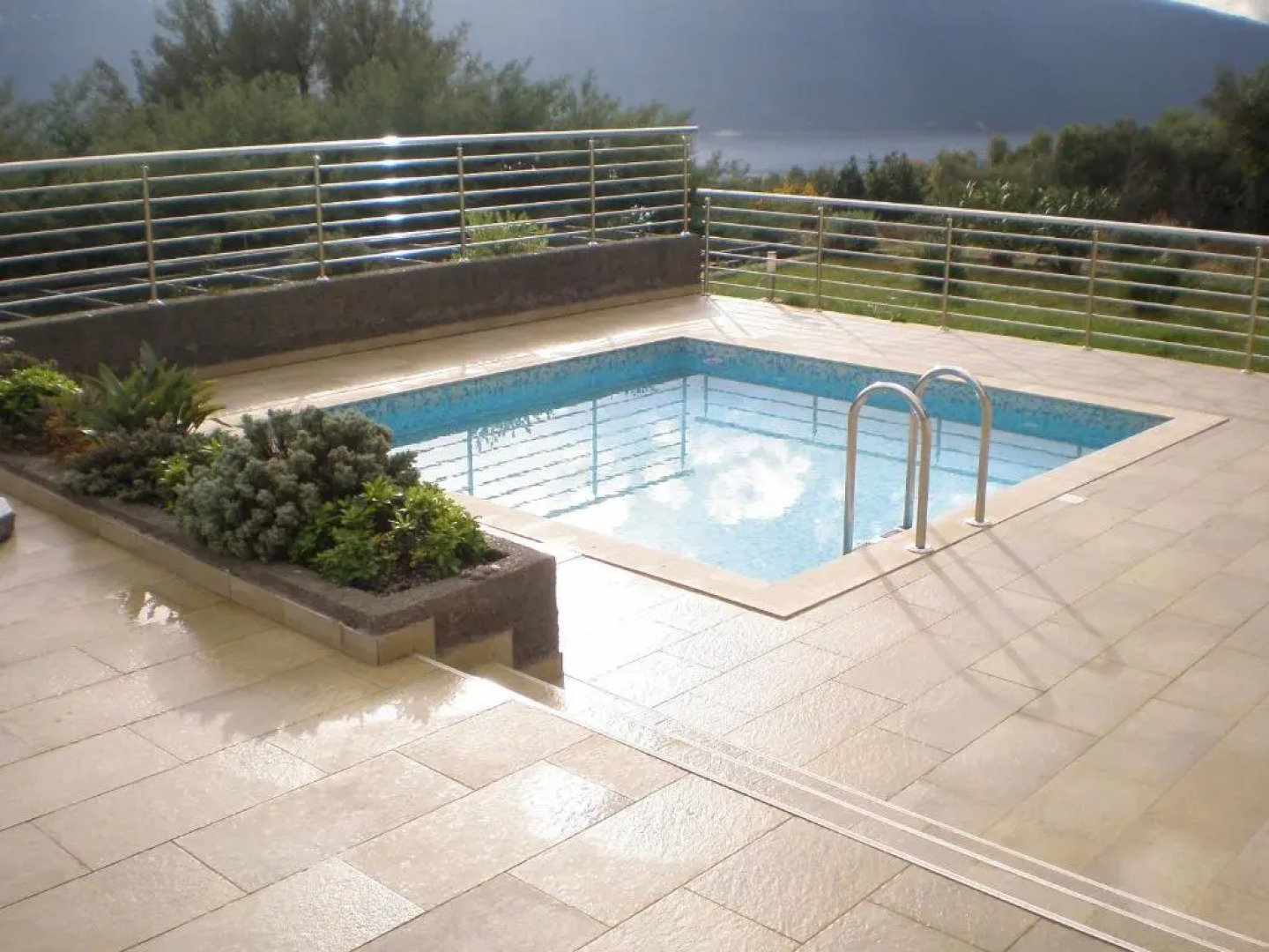 Acacia Hill Djenovici