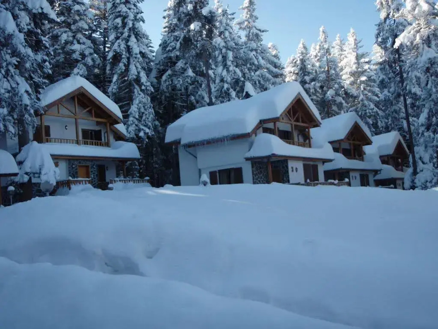 Saint George Borovets Hotel