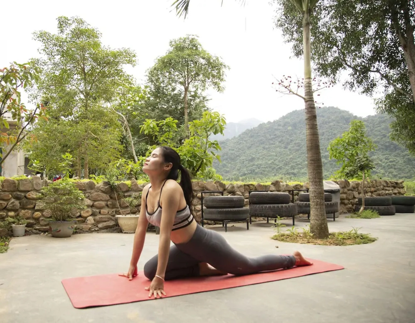 Jungle Boss Homestay