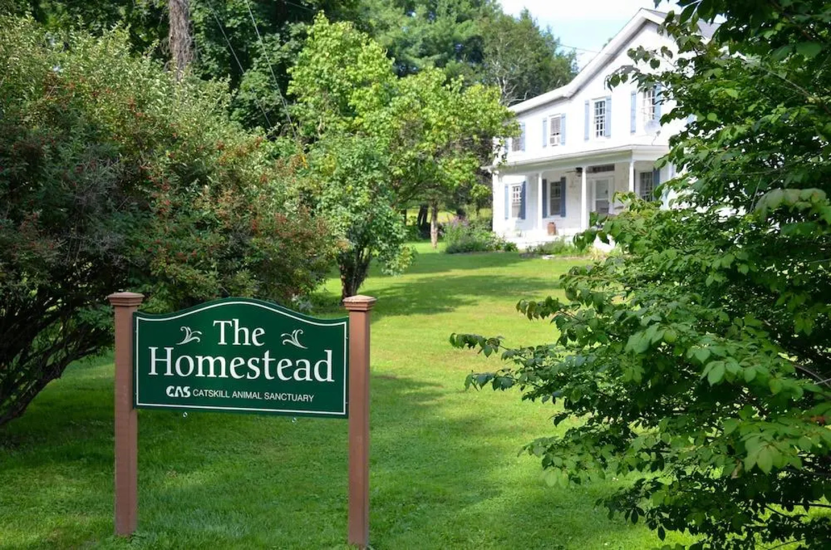 The Homestead