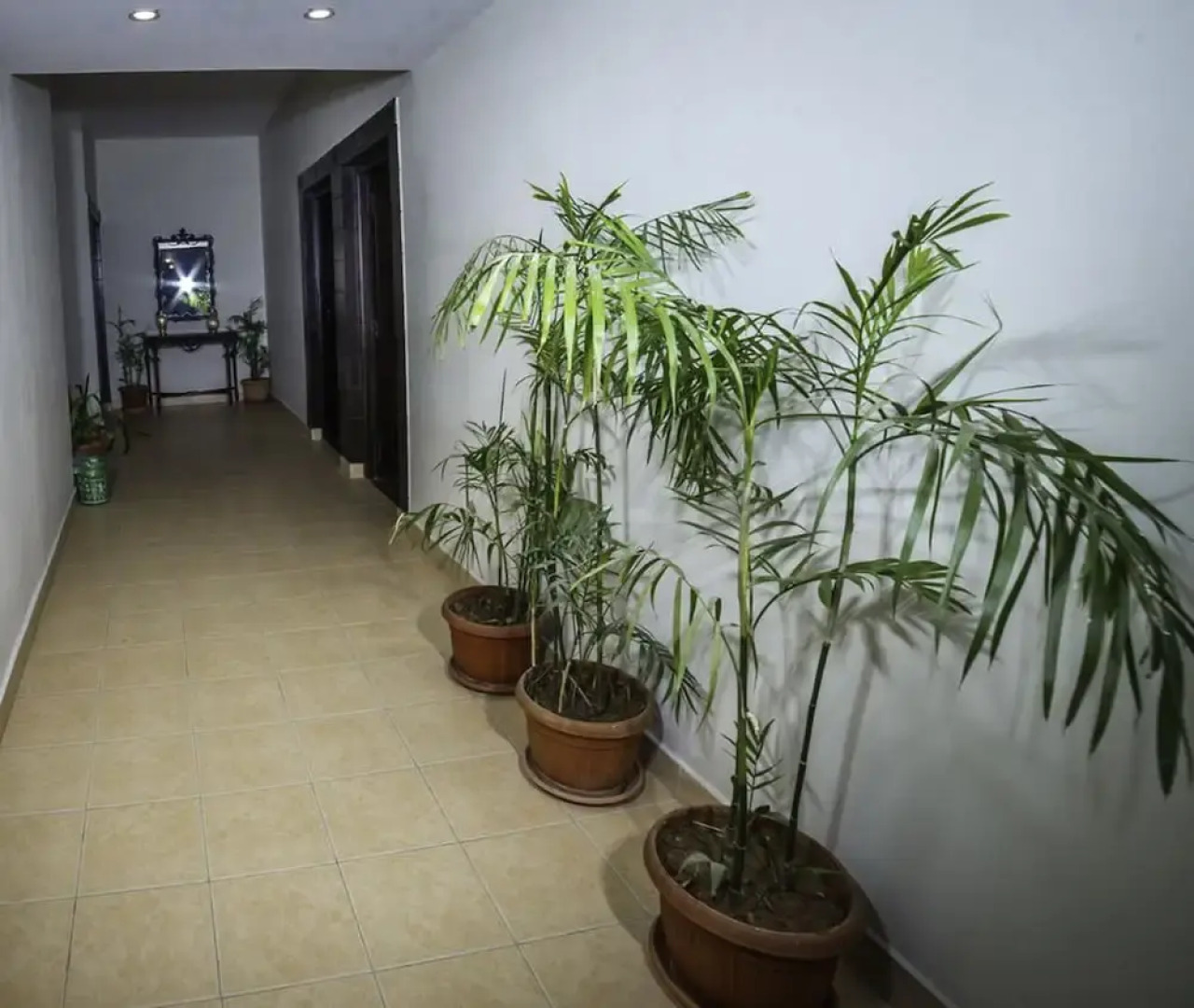 Vip House