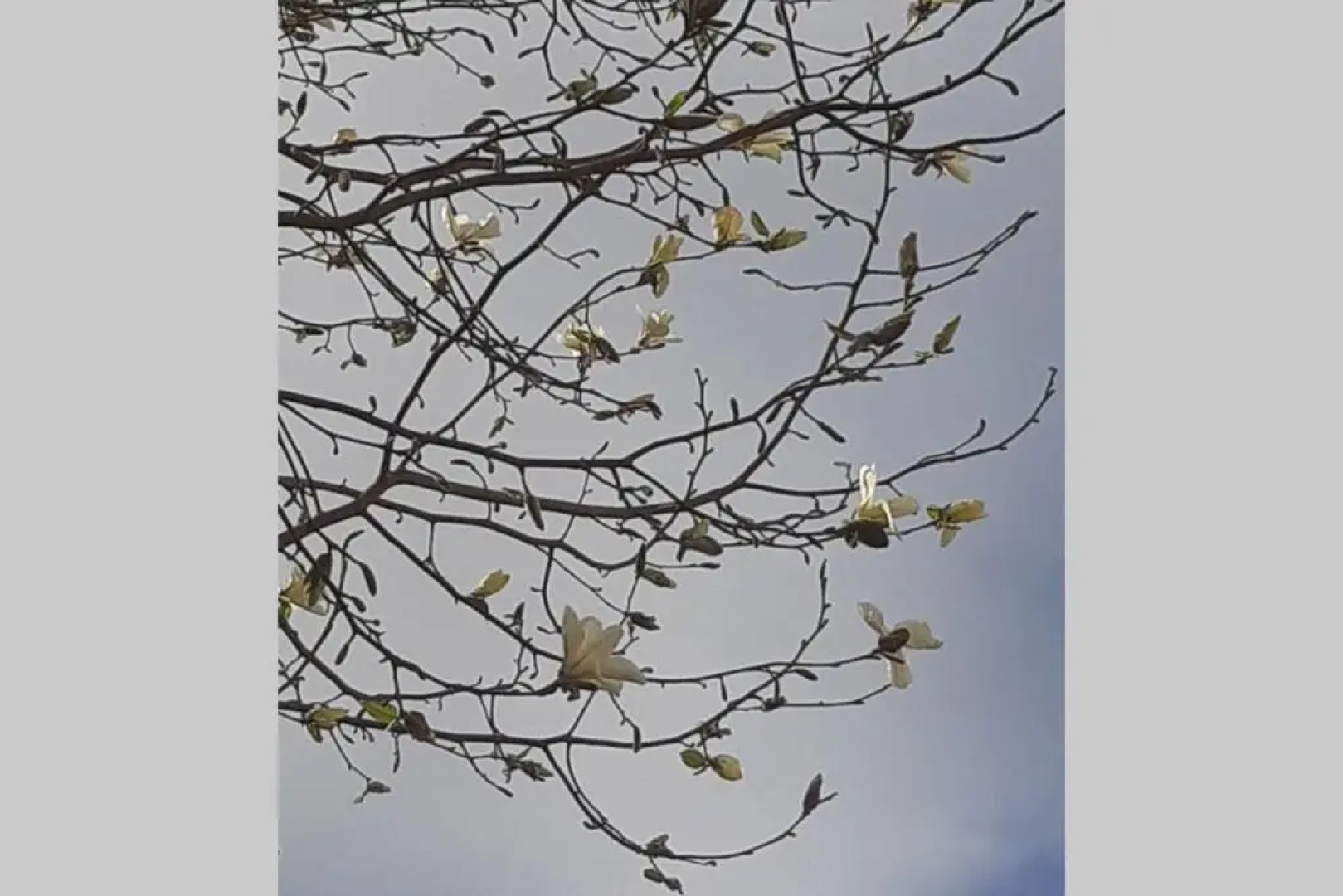 Oranjerie, 7 km onder Groningen