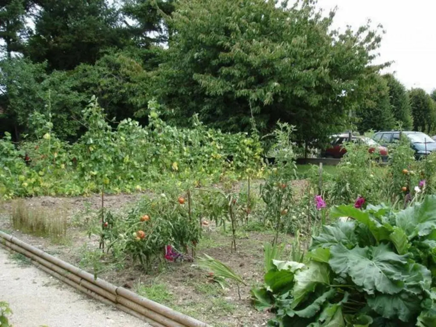 Gîte Meung-sur-Loire, 4 pièces, 6 personnes - FR-1-590-96