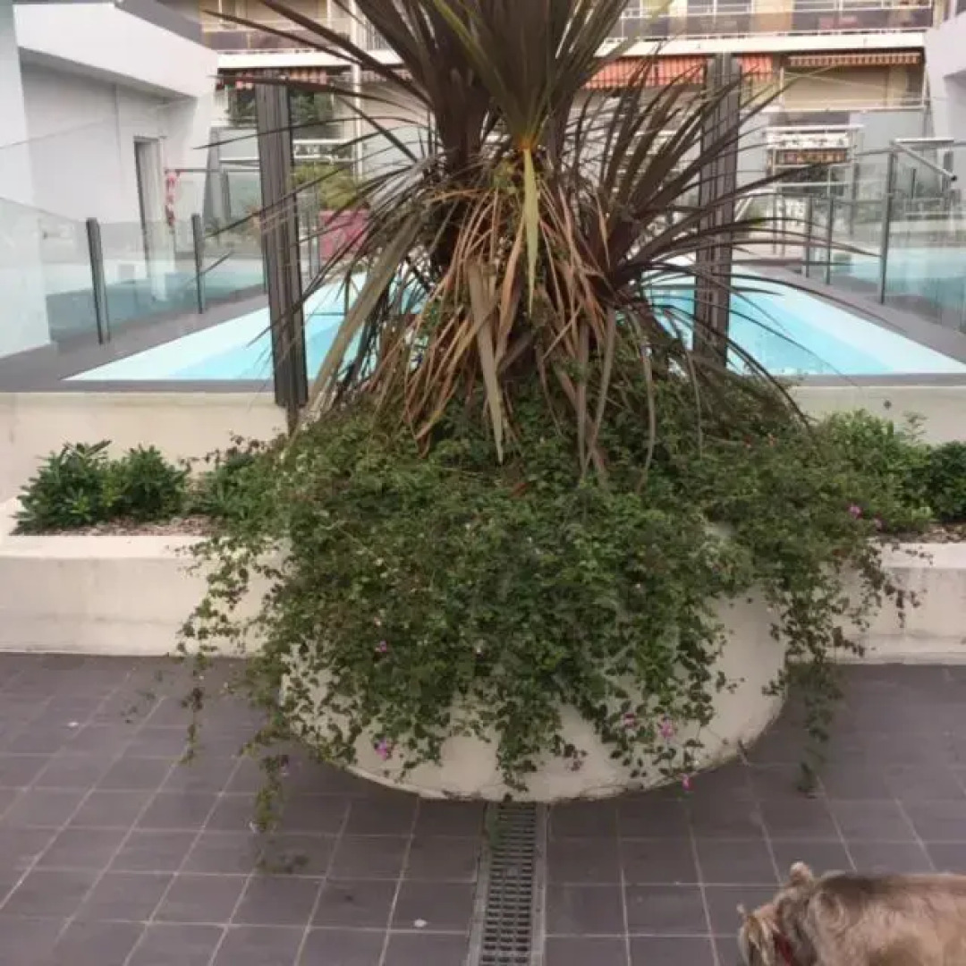 Studio Port St Laurent