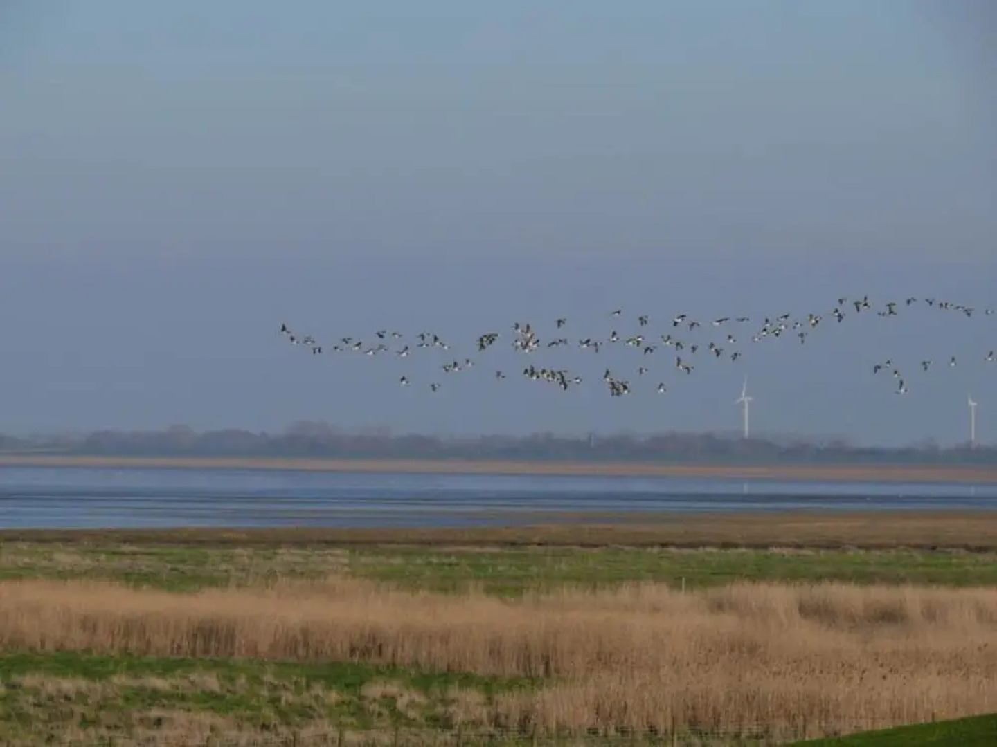 Holiday Home Bruning