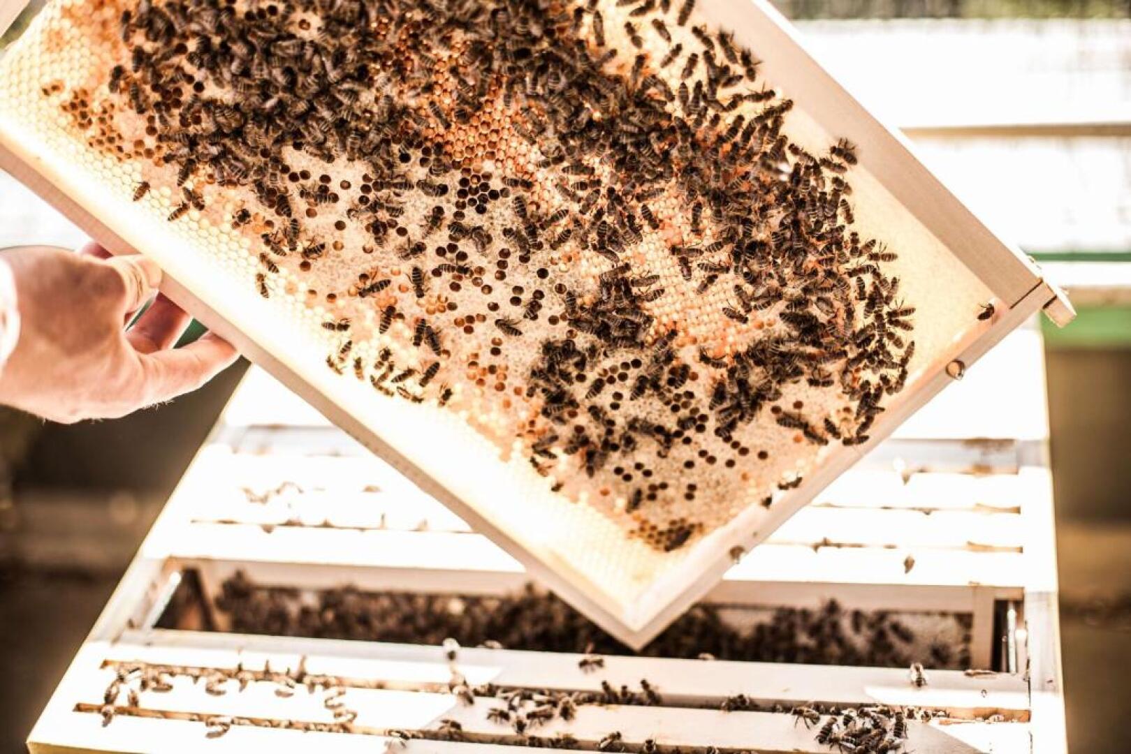 ATLANTIC Hotel Airport