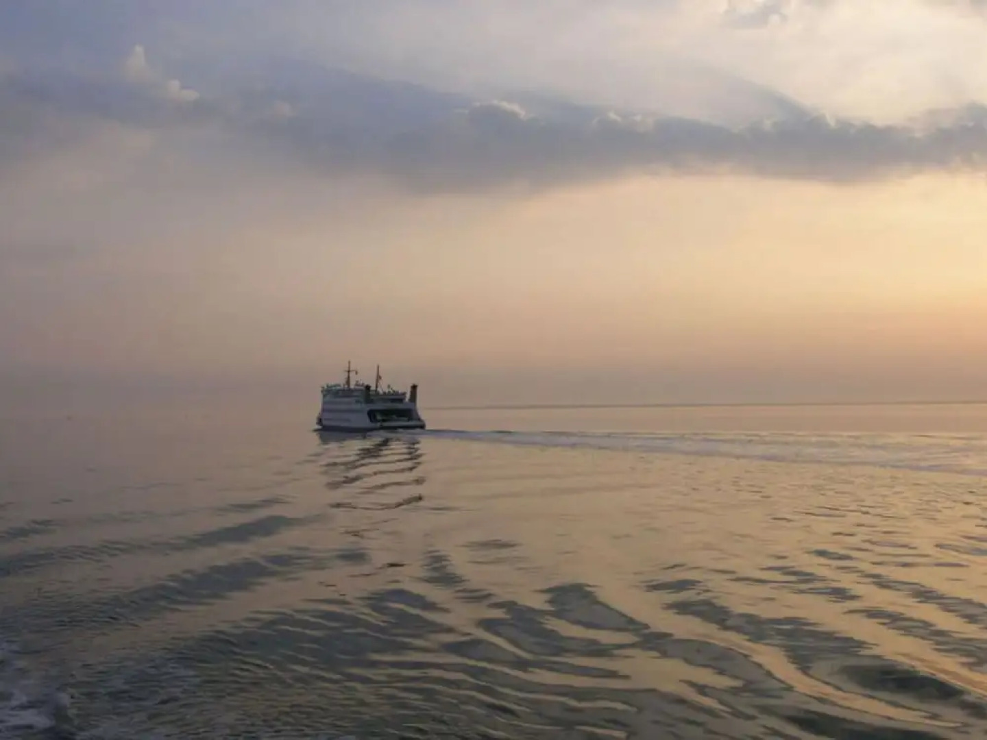 "luv" in House Smaswai 10