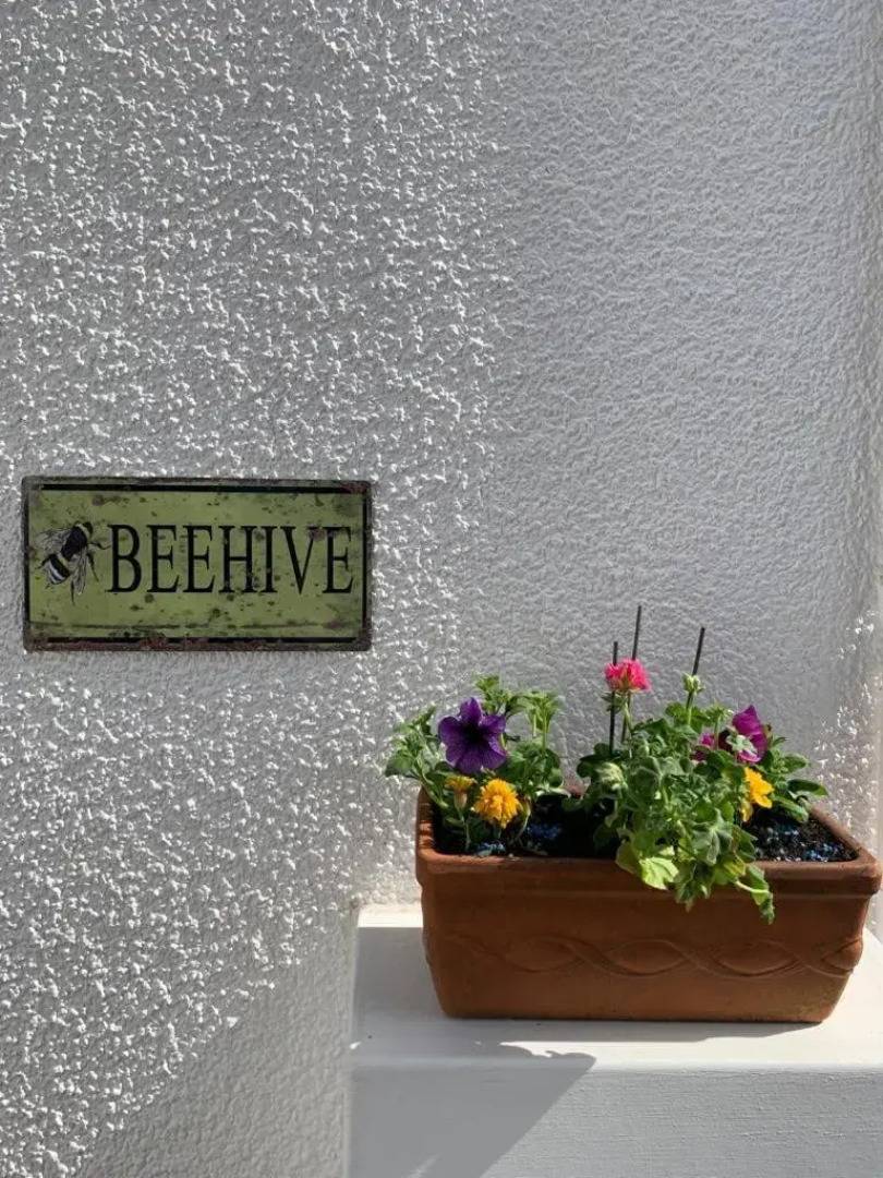 The Beehive - Self Contained Studio by the Sea (Adults Only)