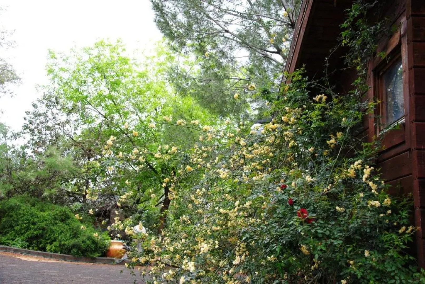 wooden Edge Of The Village